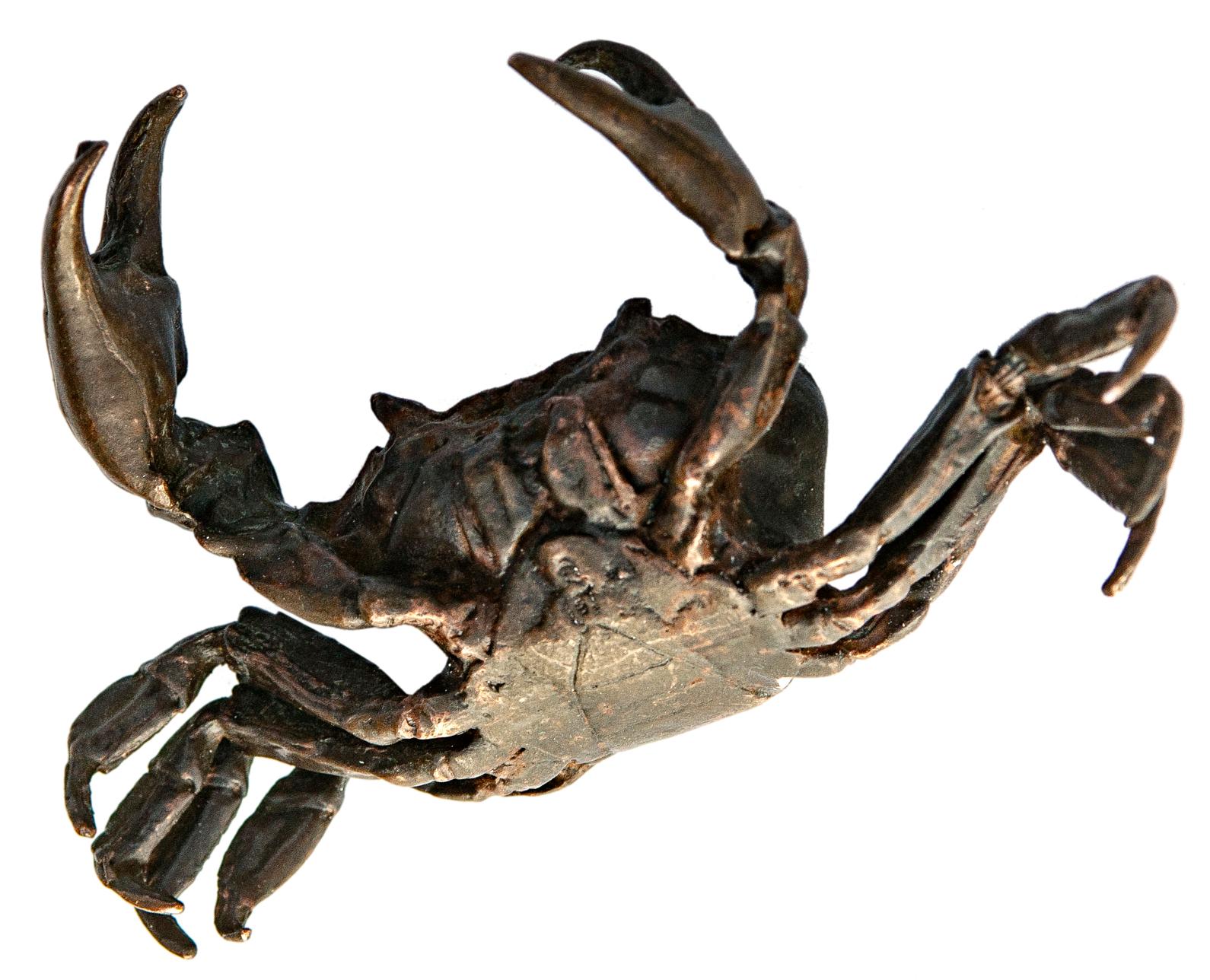 XX secolo Piccolo granchio in metallo bronzato in vendita