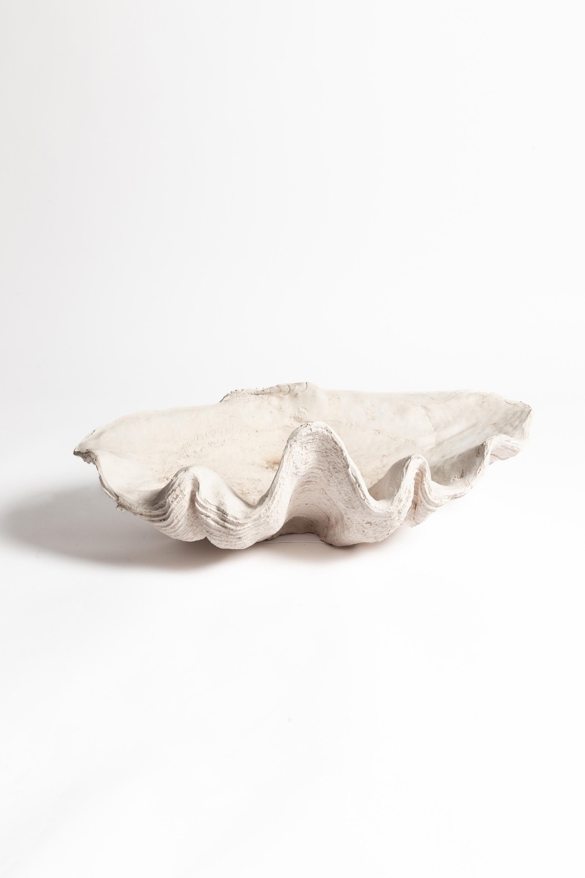 Neoclassical Cast Composite Giant Clam Shell For Sale