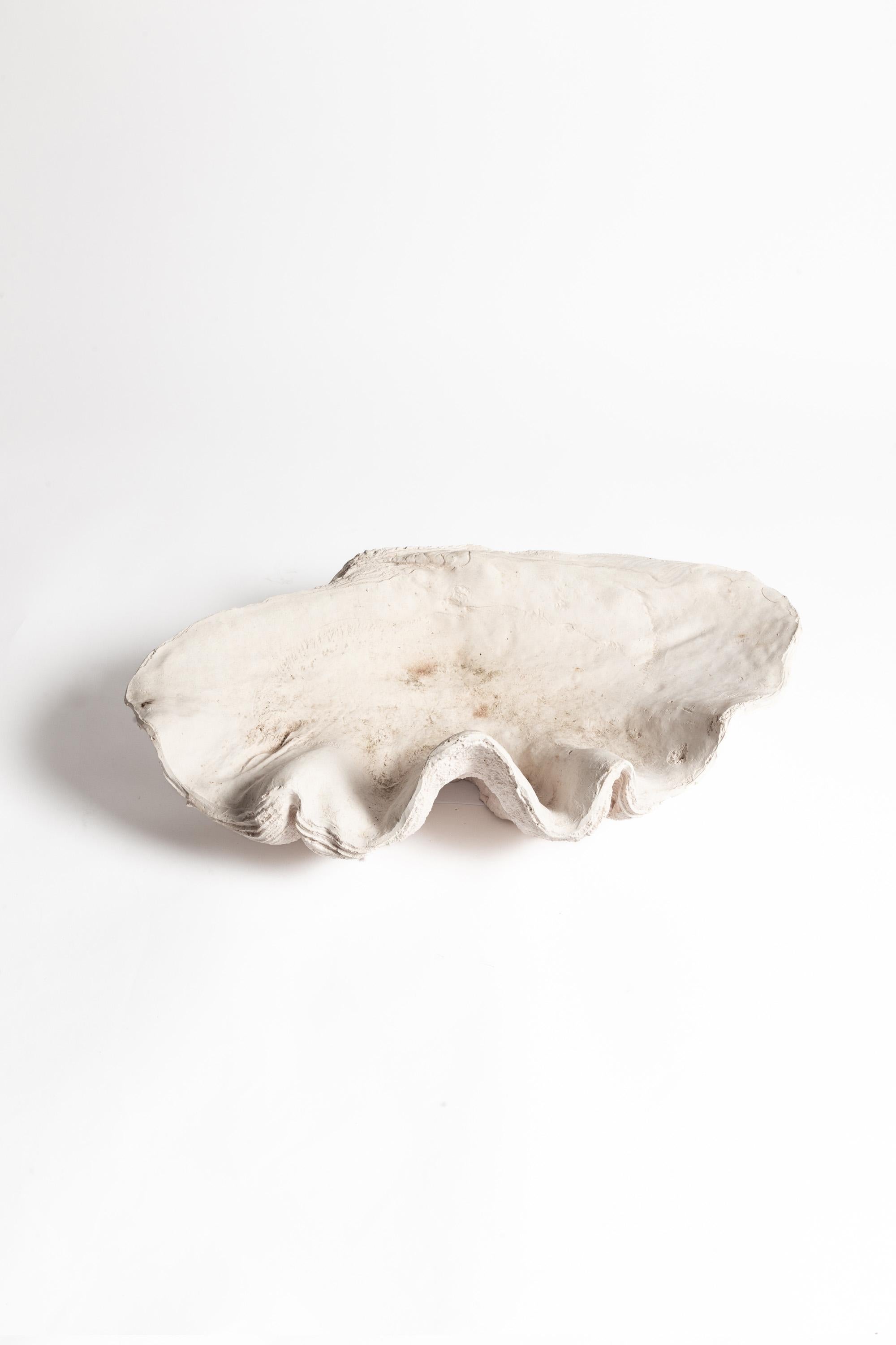 English Cast Composite Giant Clam Shell For Sale