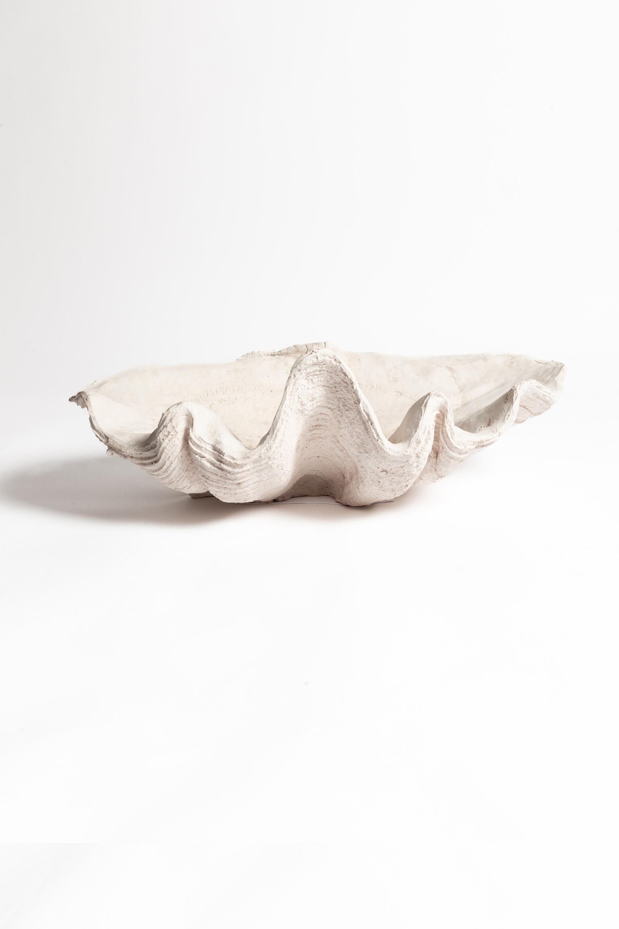 Cast Composite Giant Clam Shell In Good Condition For Sale In London, GB