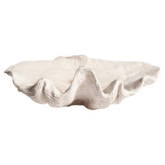 Gegossene Komposit-Riesenmuschelschale