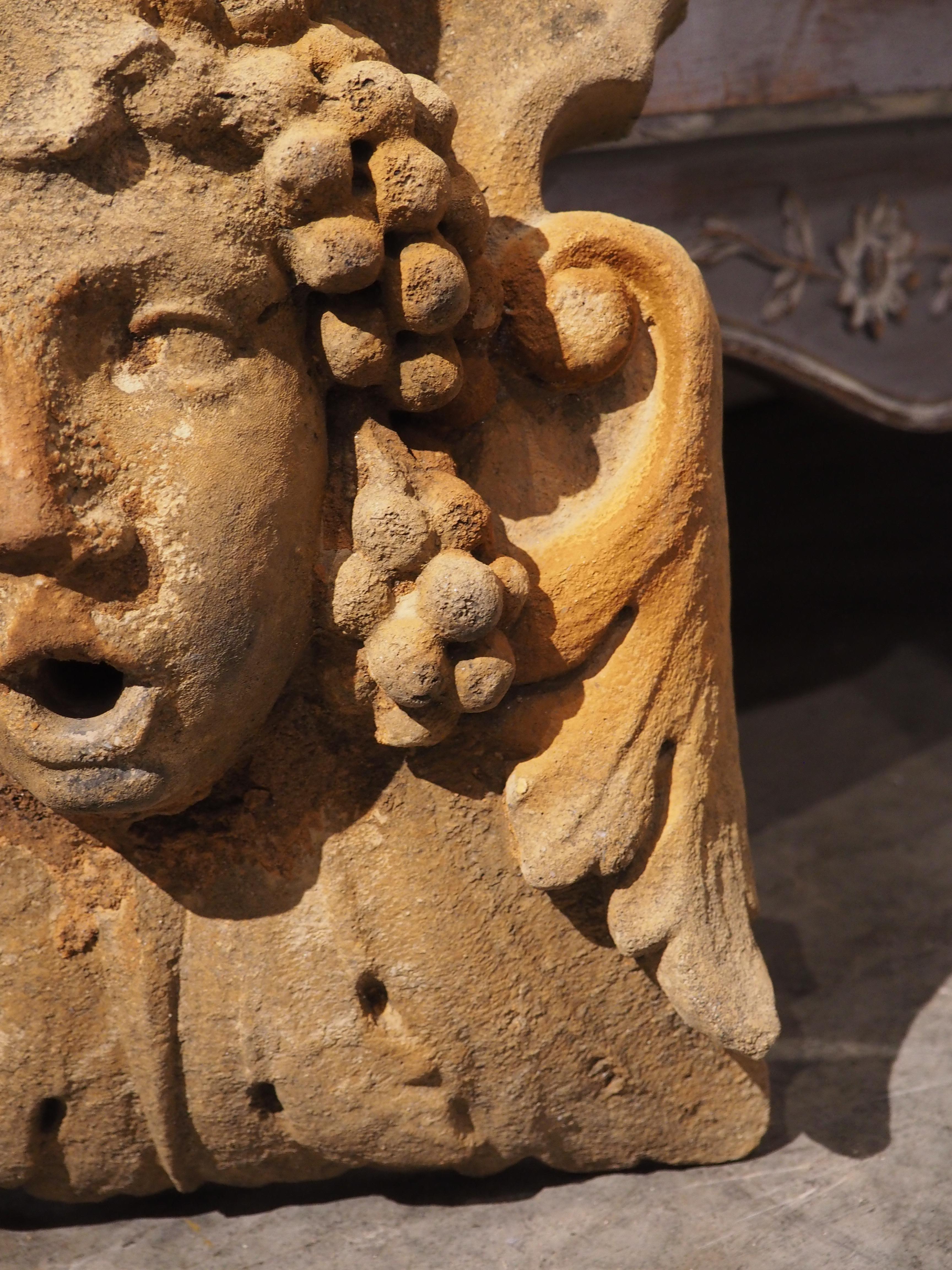Cast Fountain Mask Element or Spout in Ochre Finish from France In Good Condition In Dallas, TX