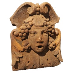 Cast Fountain Mask Element or Spout in Ochre Finish from France