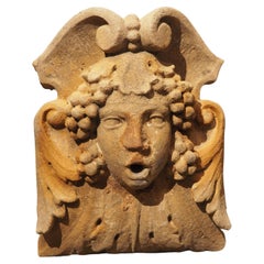 Cast Fountain Mask Element or Spout in Ochre Finish from France