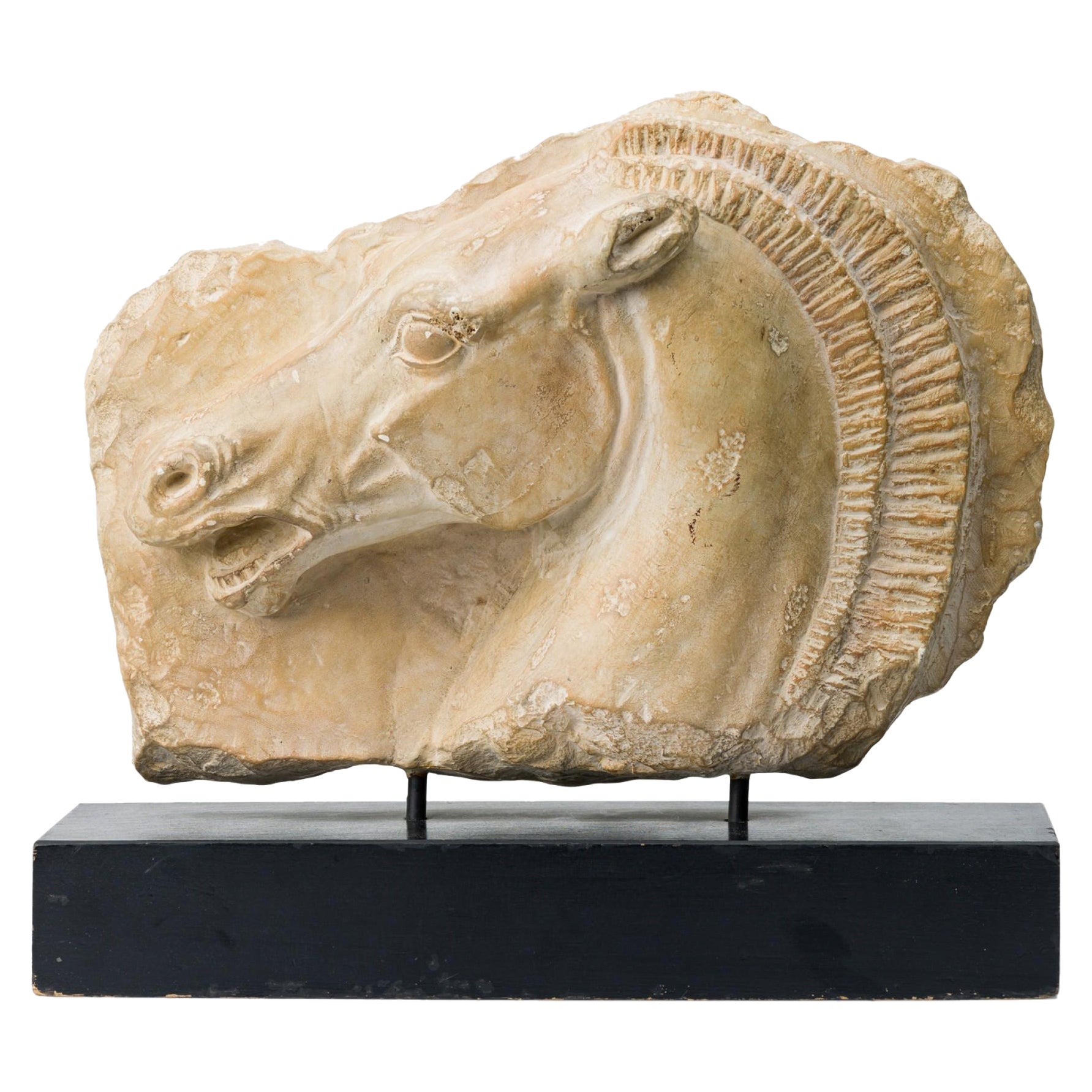 Cast Horse Head Sculpture Mounted on a Wooden Base For Sale