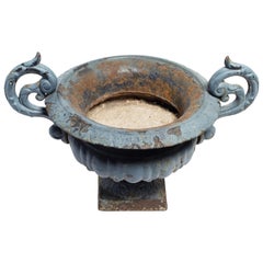 19th Century French Cast Iron Urn Planter