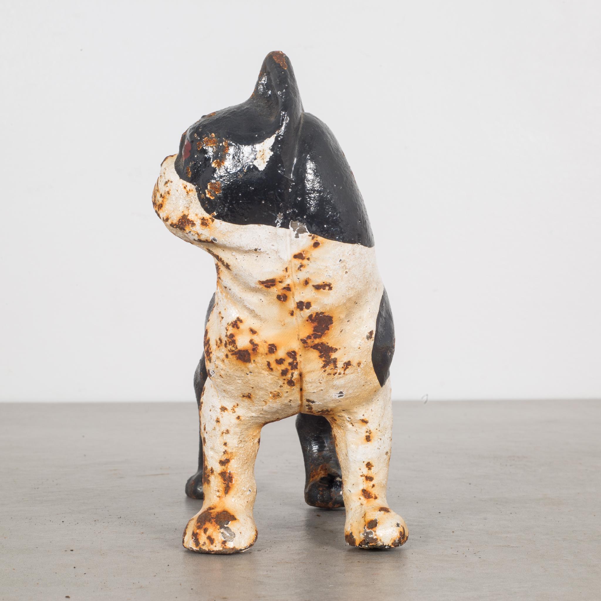 boston terrier piggy bank