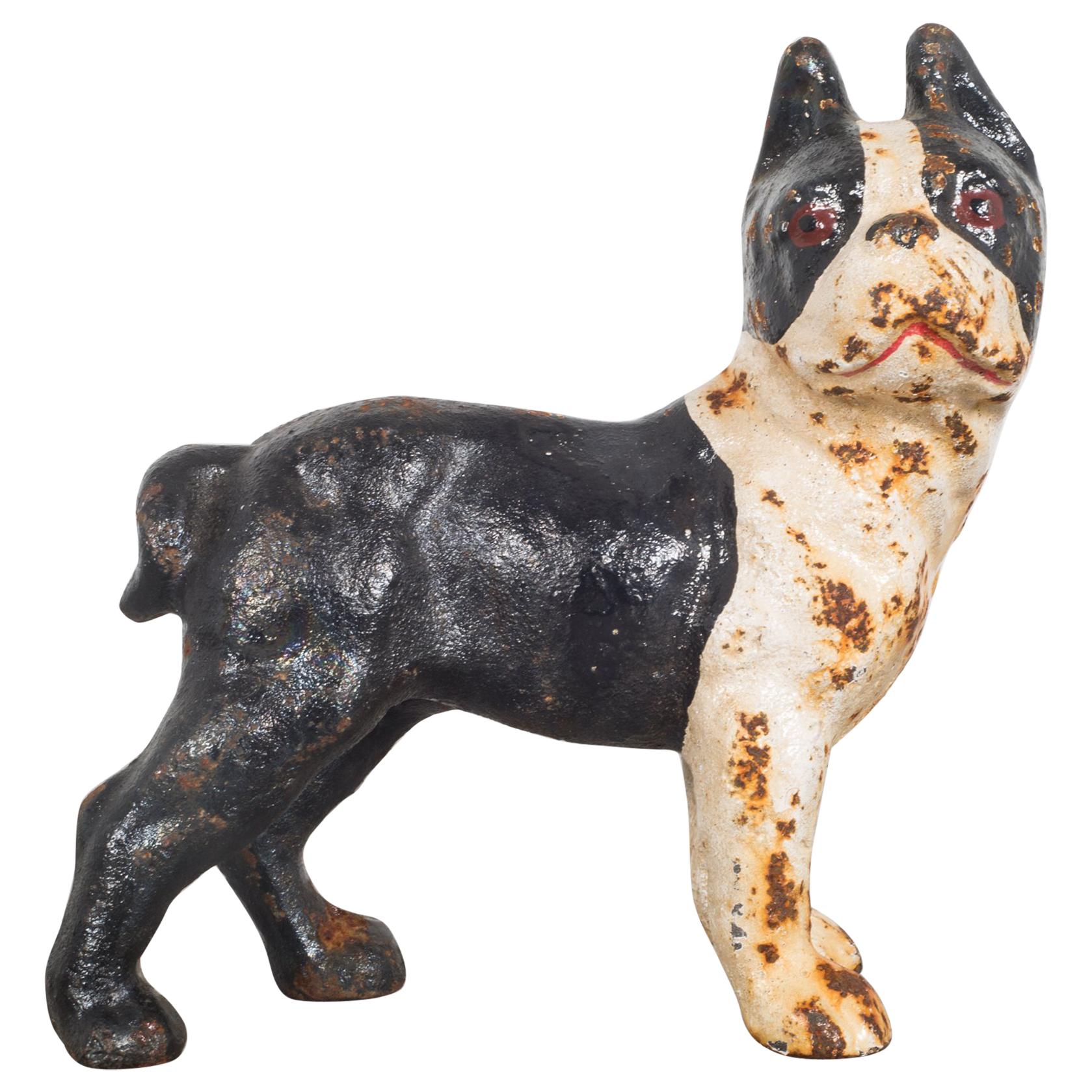 Cast Iron Boston Terrier Coin Bank by Hubley, circa 1910