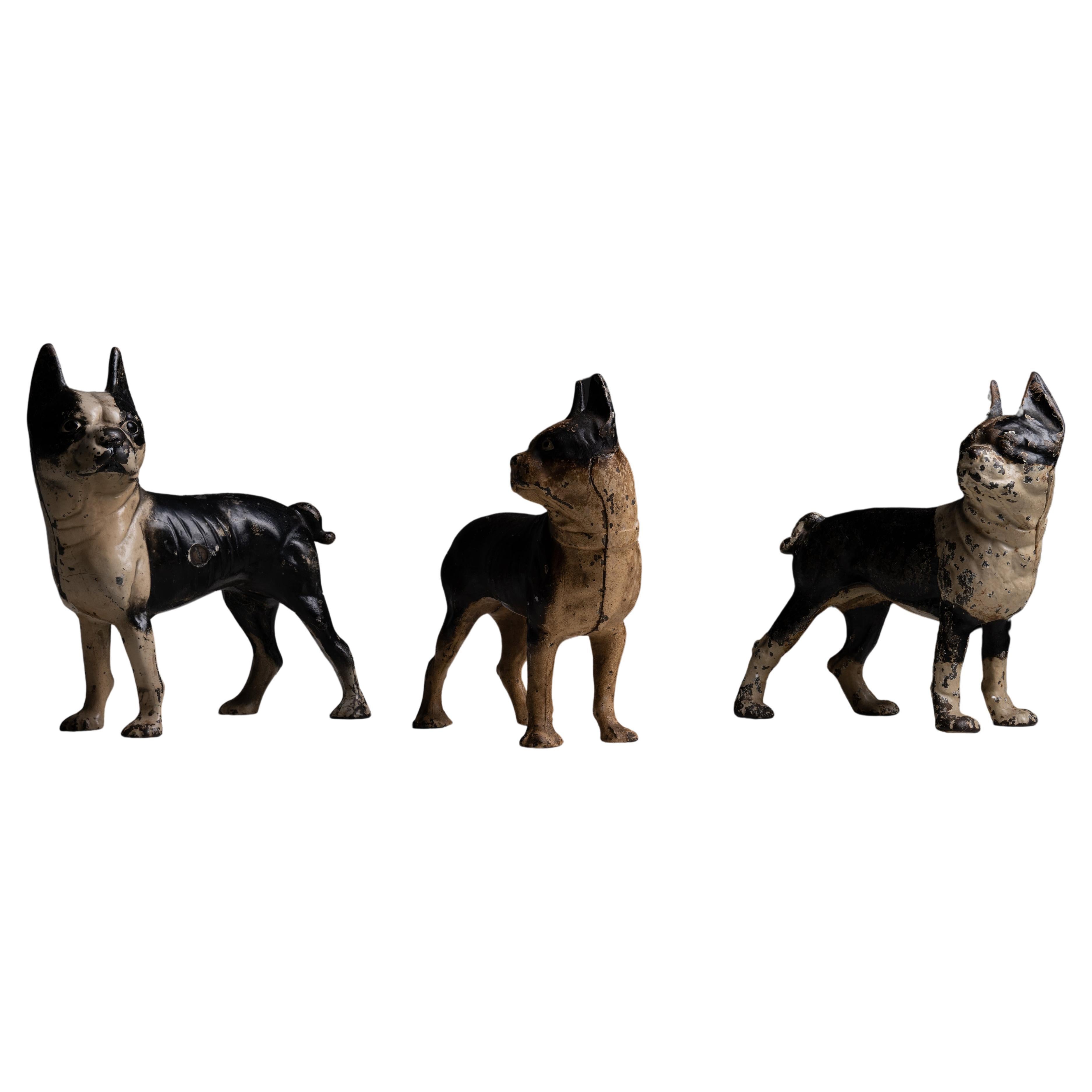 Cast Iron Boston Terrier Doorstops, America circa 1900