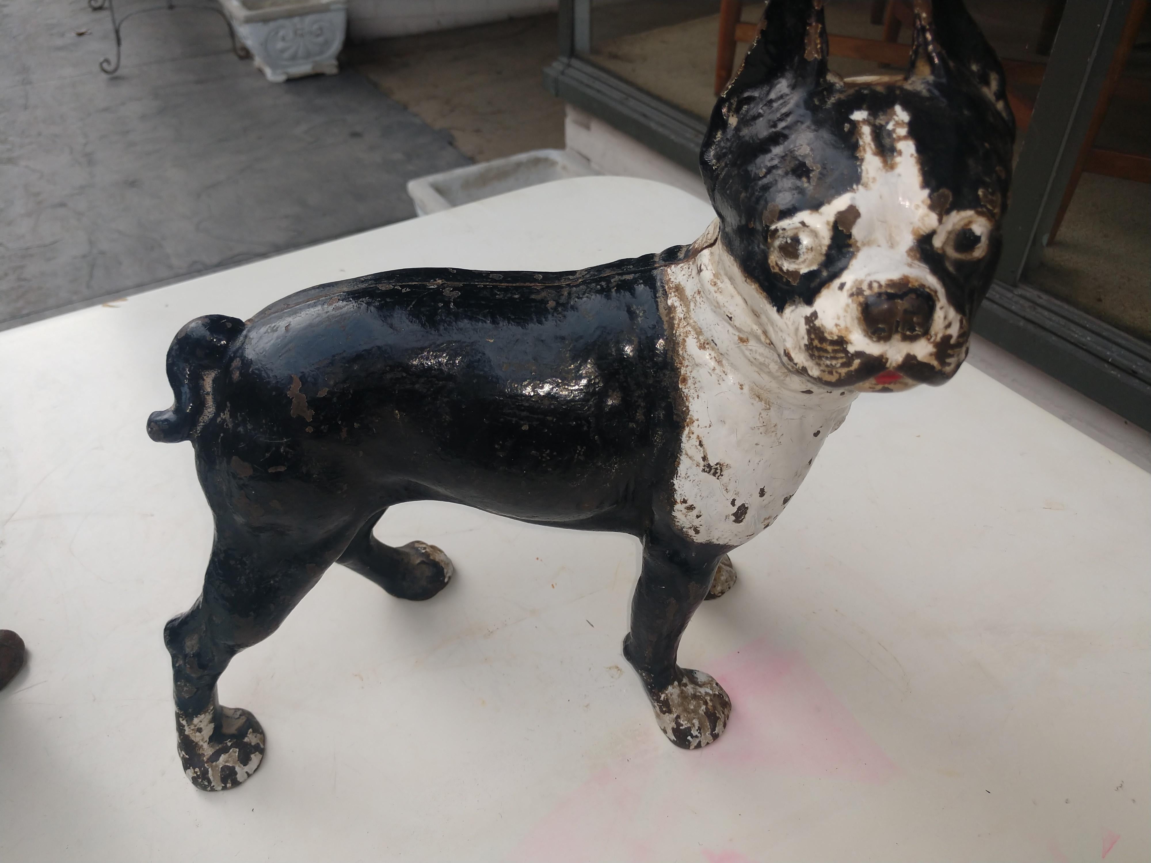 American Cast Iron Boston Terrier Doorstop C1948 For Sale