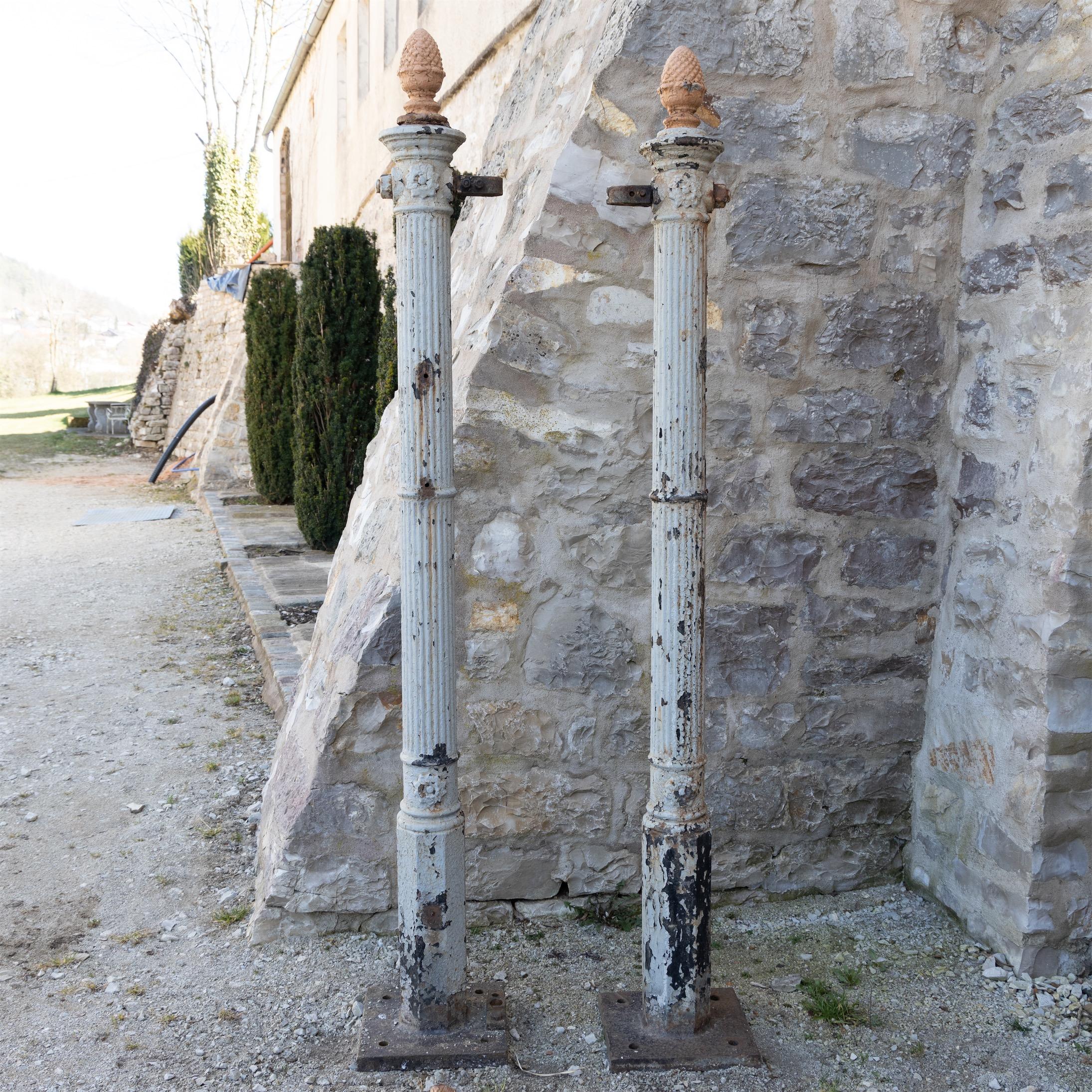Pair of cast iron columns with pine nut crowning and rosette decoration and fluted shafts.
 