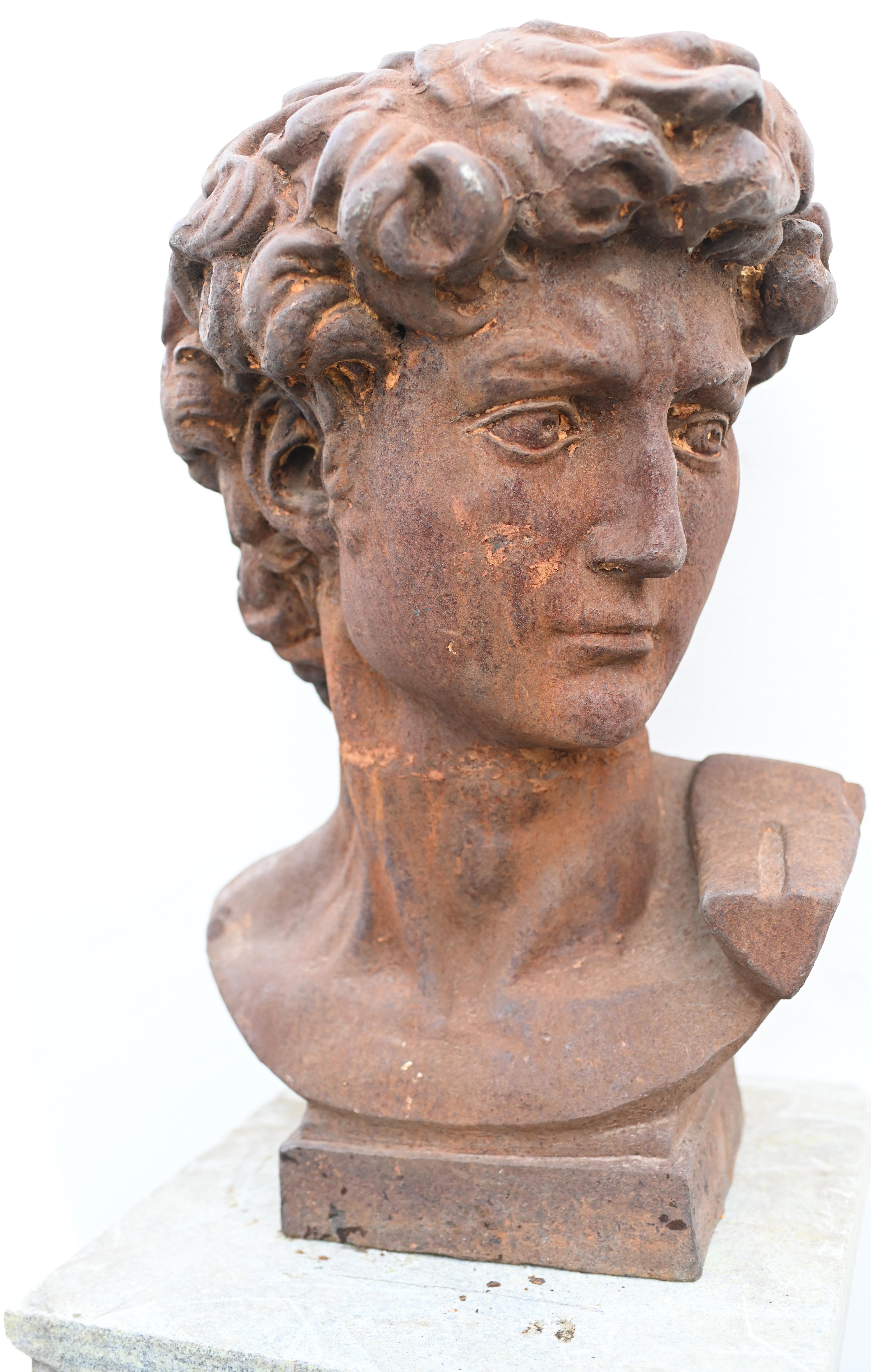 Cast Iron David Bust After Michelangelo Garden Art In Good Condition For Sale In Potters Bar, GB