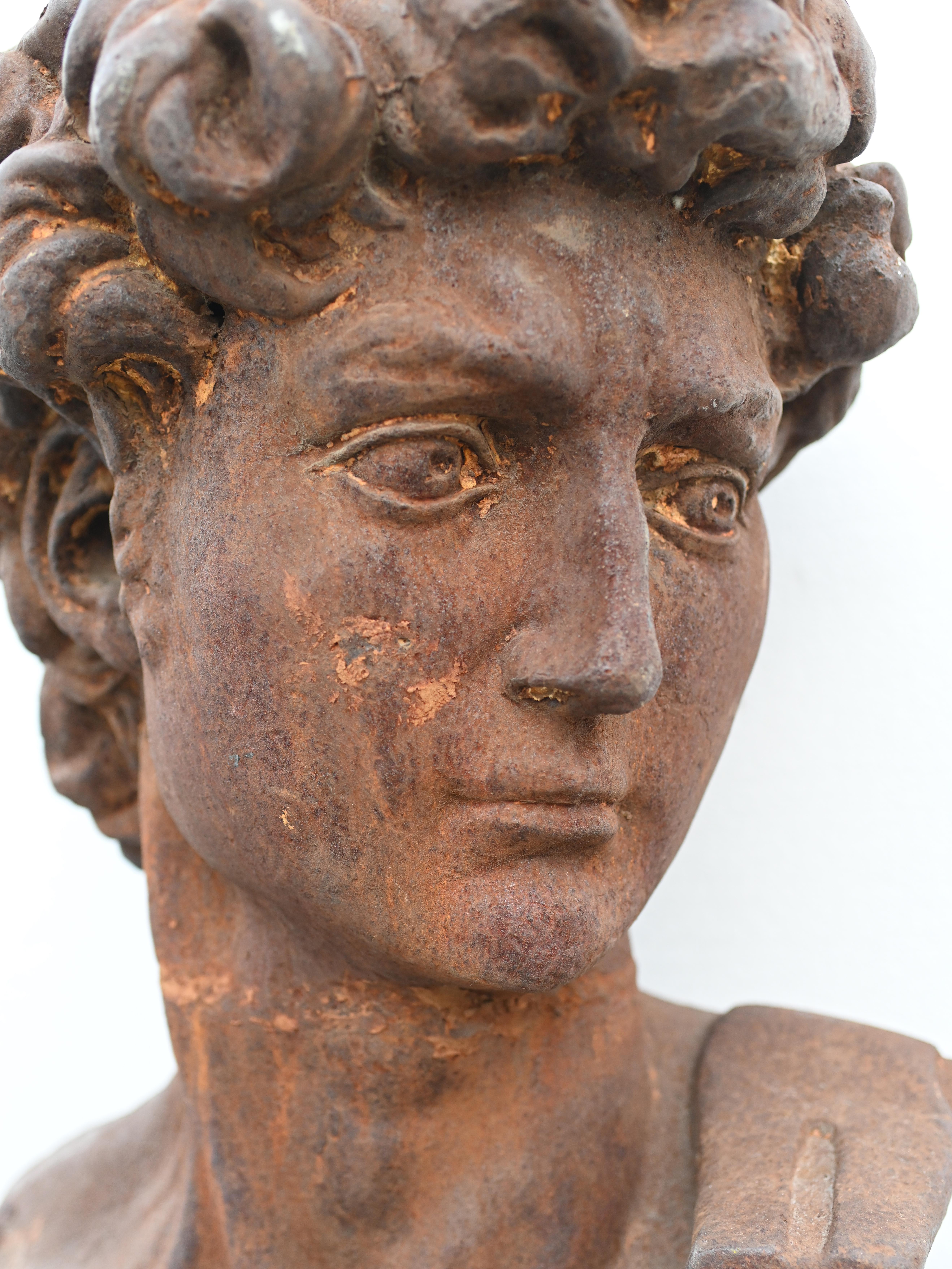 Early 20th Century Cast Iron David Bust After Michelangelo Garden Art For Sale