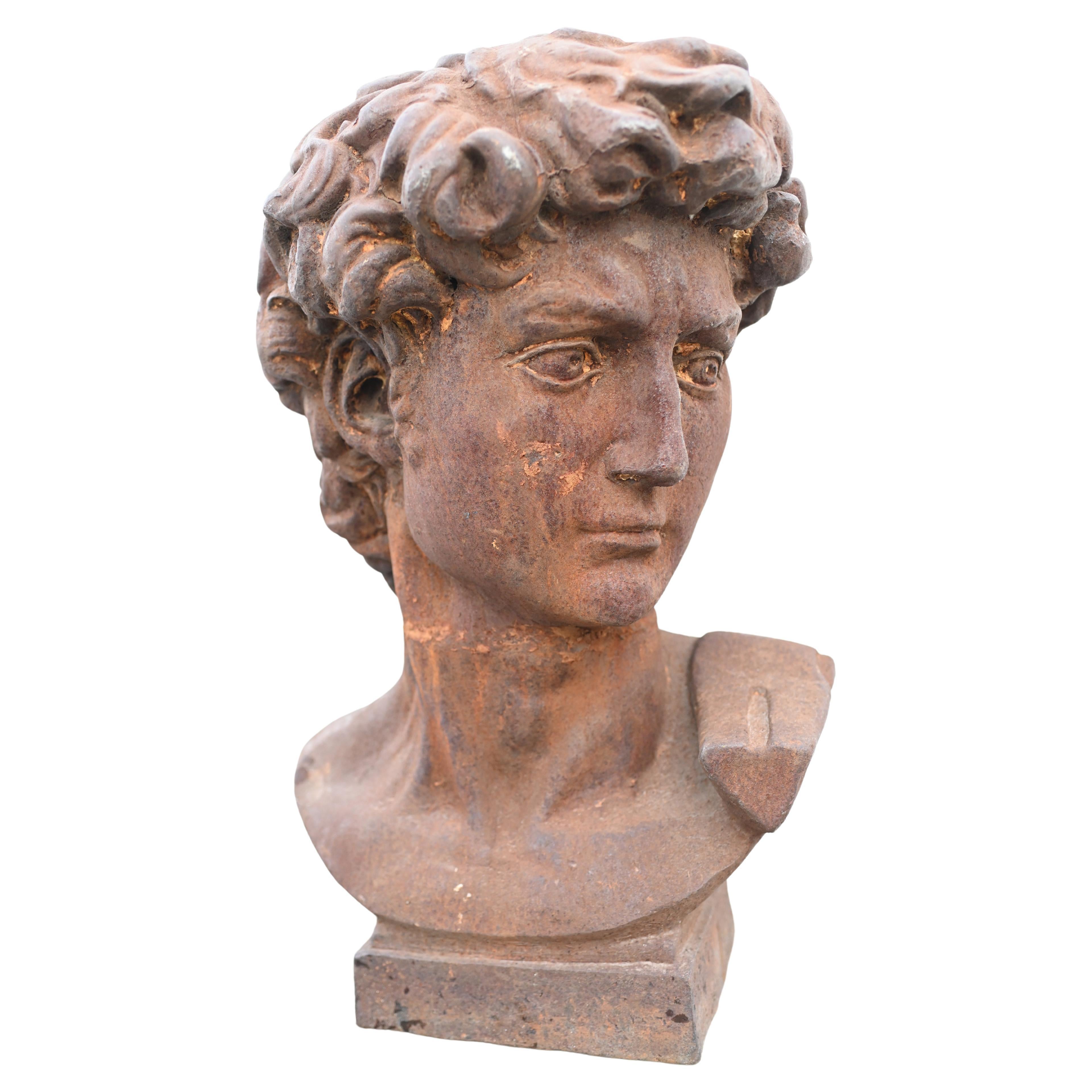 Cast Iron David Bust After Michelangelo Garden Art For Sale