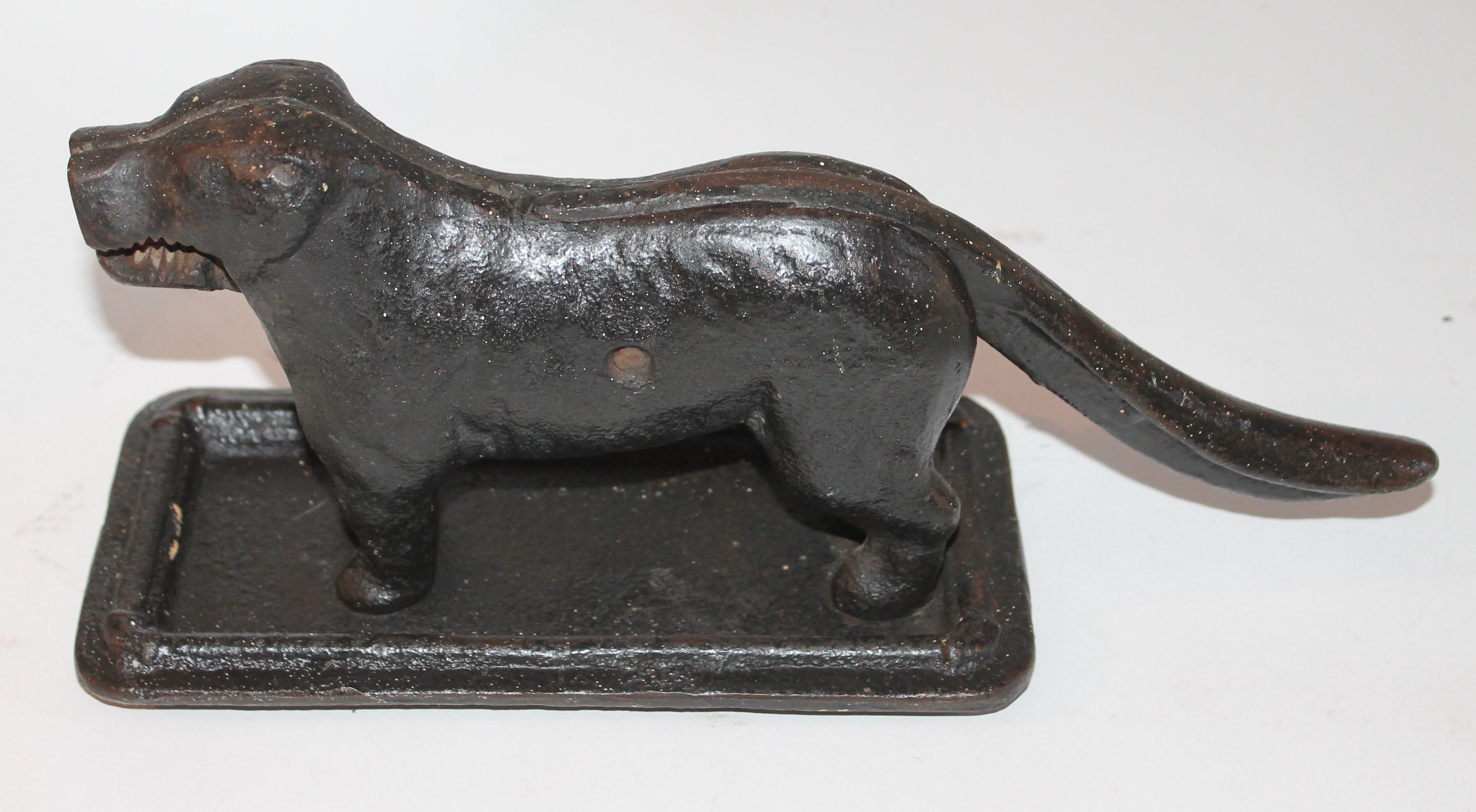 Black painted cast iron dog nut cracker. The condition is very good and in working order.