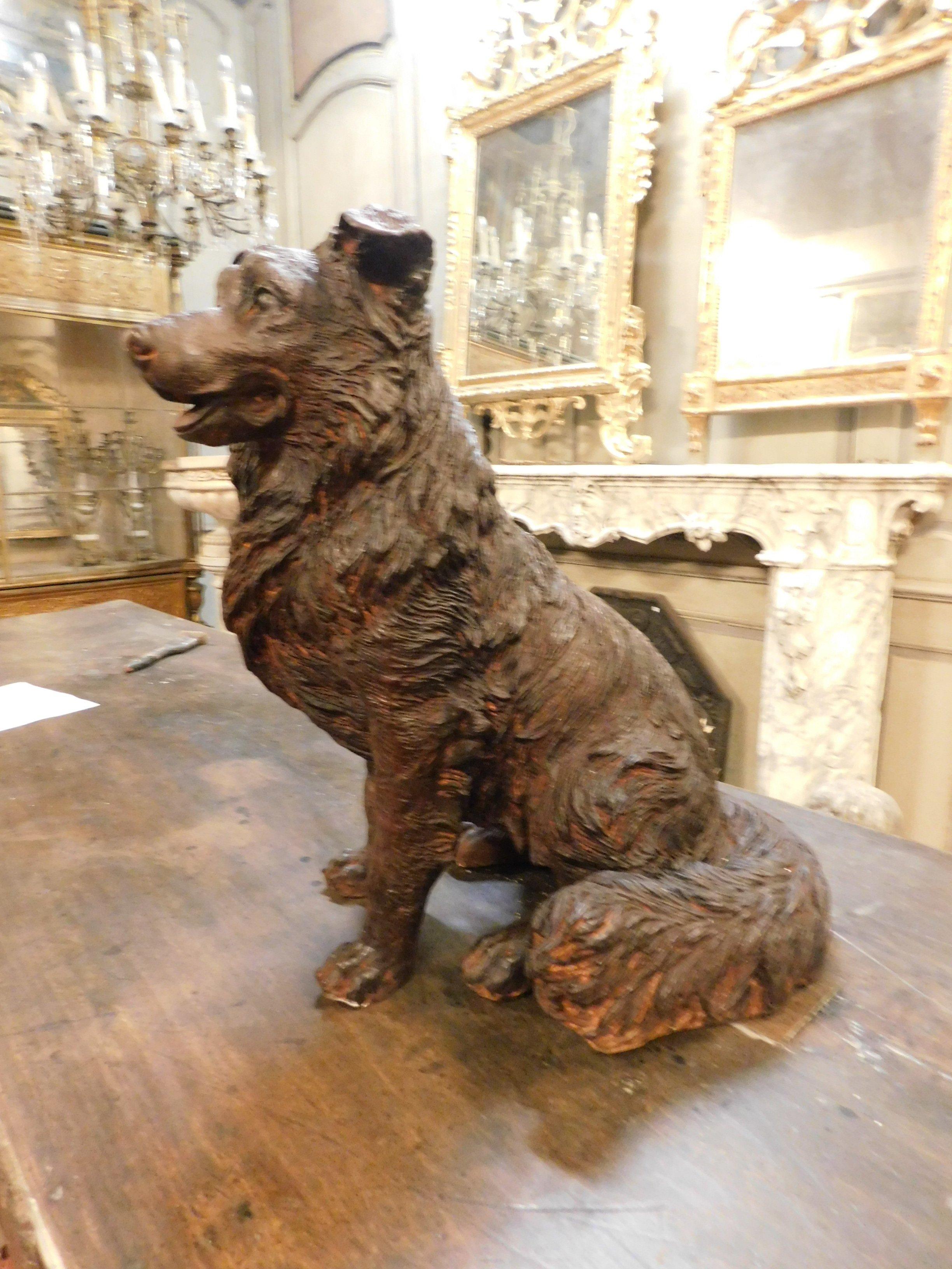 Cast Iron Dog Sculpture, 20th Century, Italy In Good Condition In Cuneo, Italy (CN)