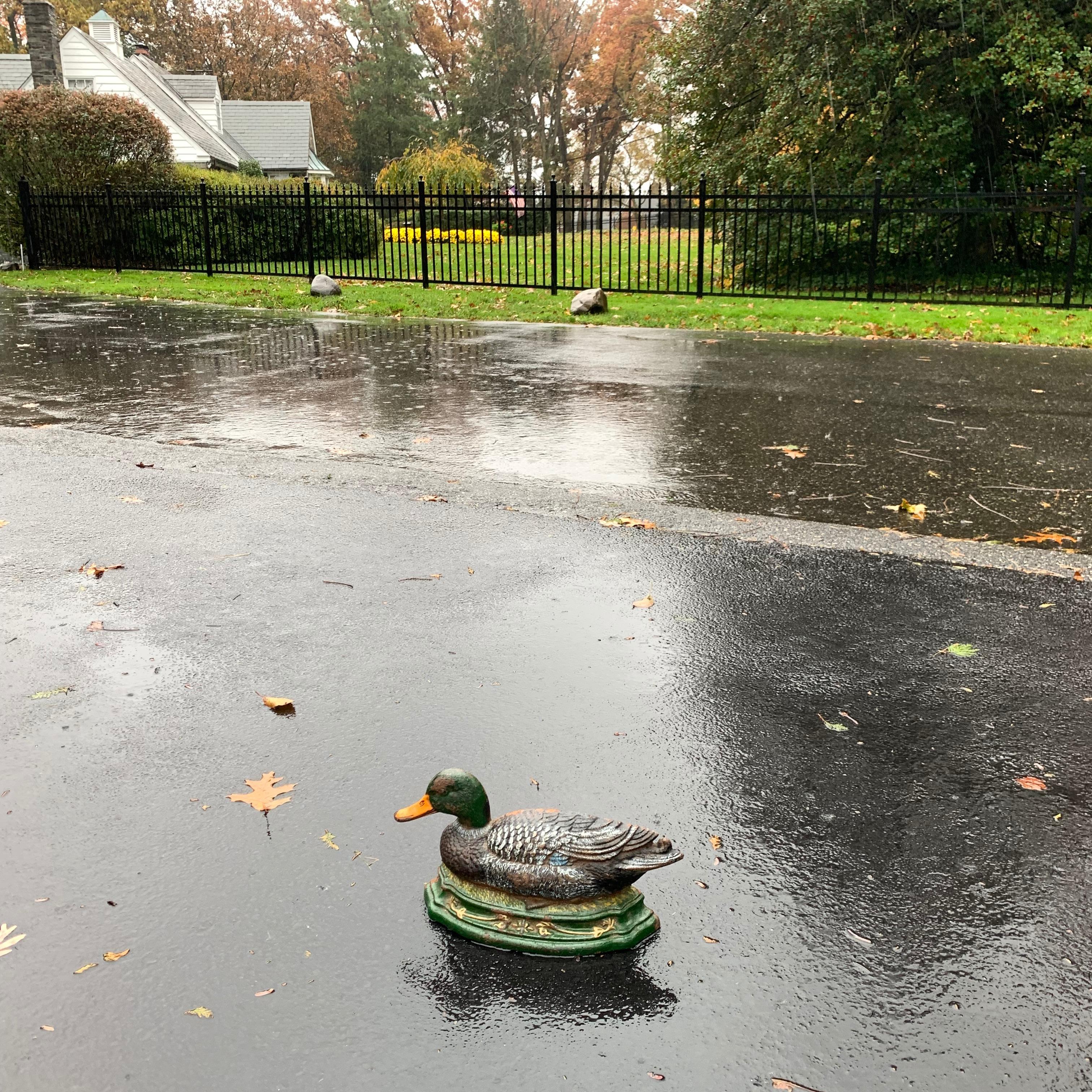 Cast Iron Duck Door Stopper 5