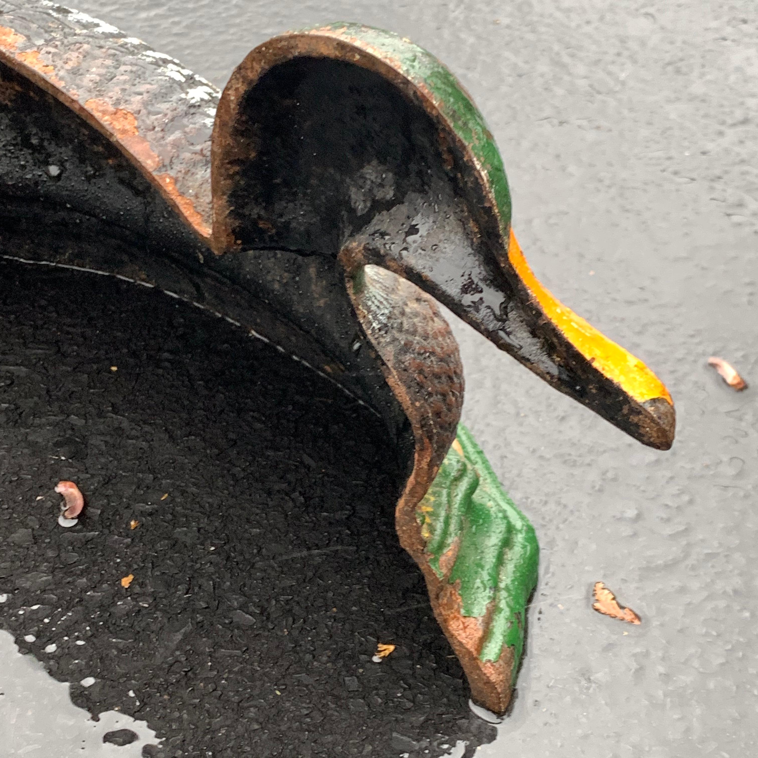 20th Century Cast Iron Duck Door Stopper