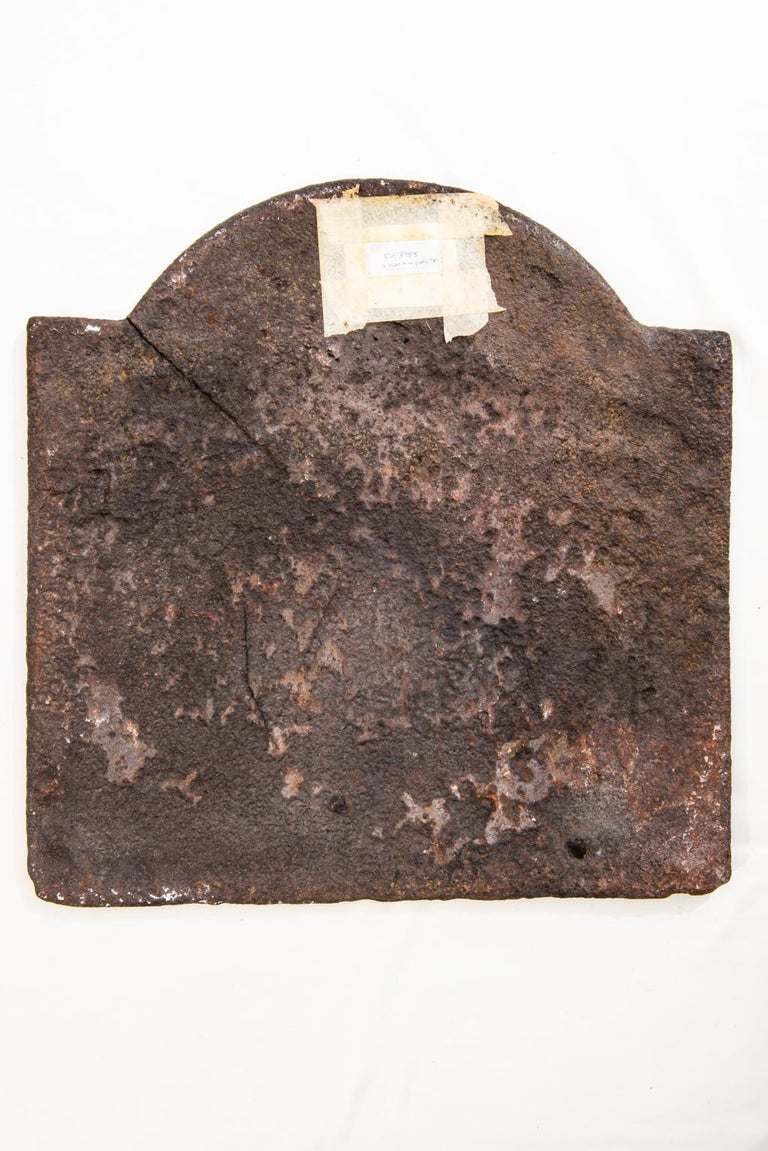 Cast Iron Fireplace Plate with Heraldic Emblem For Sale at 1stDibs