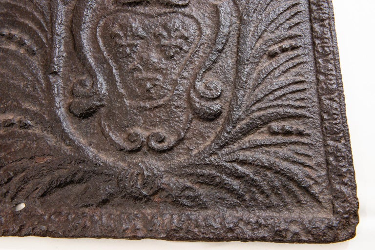 Cast Iron Fireplace Plate with Heraldic Emblem For Sale at 1stDibs