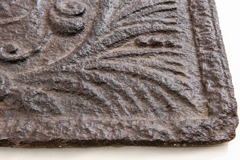 Cast Iron Fireplace Plate with Heraldic Emblem For Sale at 1stDibs