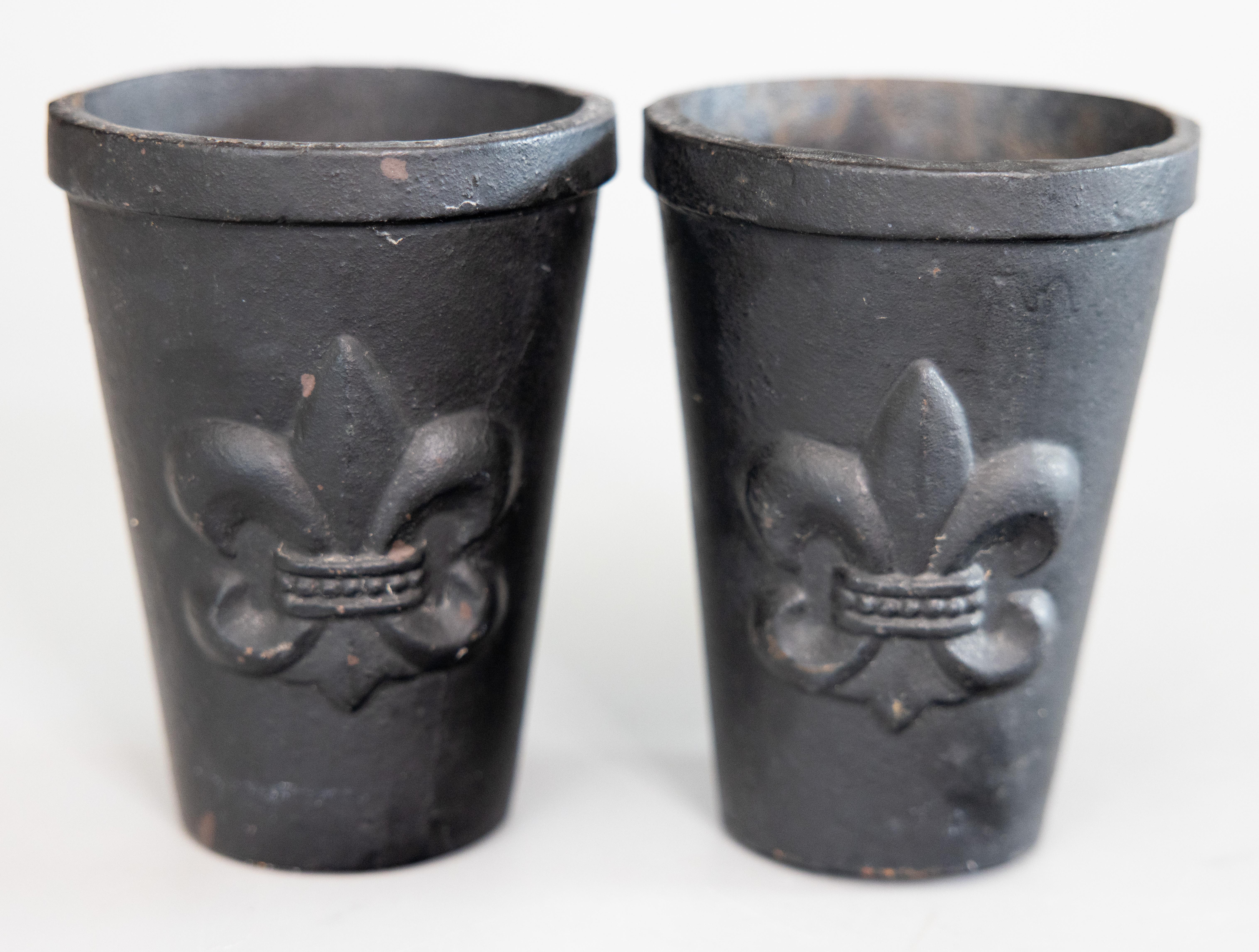 Calco Coppia di vasi da fiori in ghisa francese Fleur de Lis, circa 1940 in vendita
