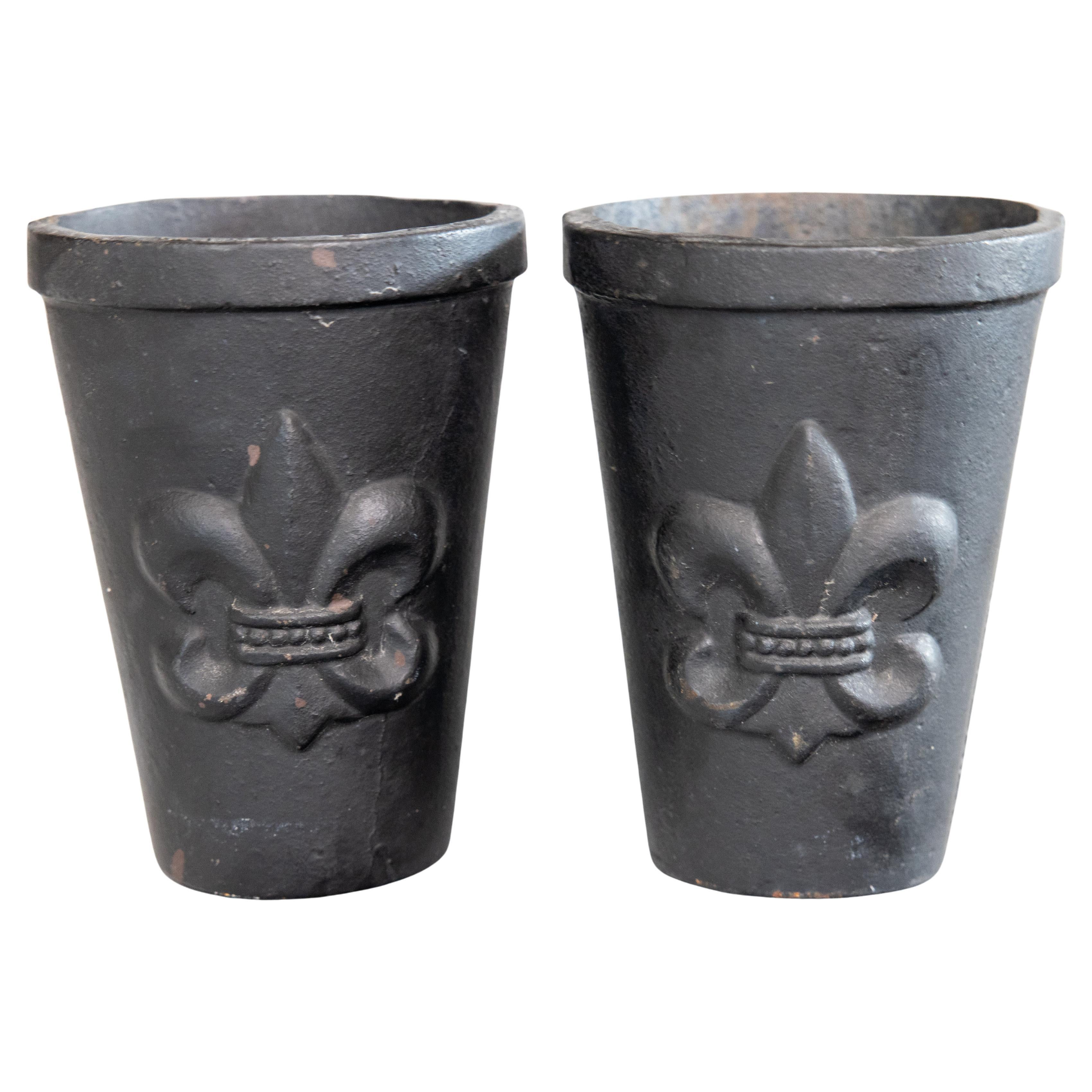 Coppia di vasi da fiori in ghisa francese Fleur de Lis, circa 1940 in vendita