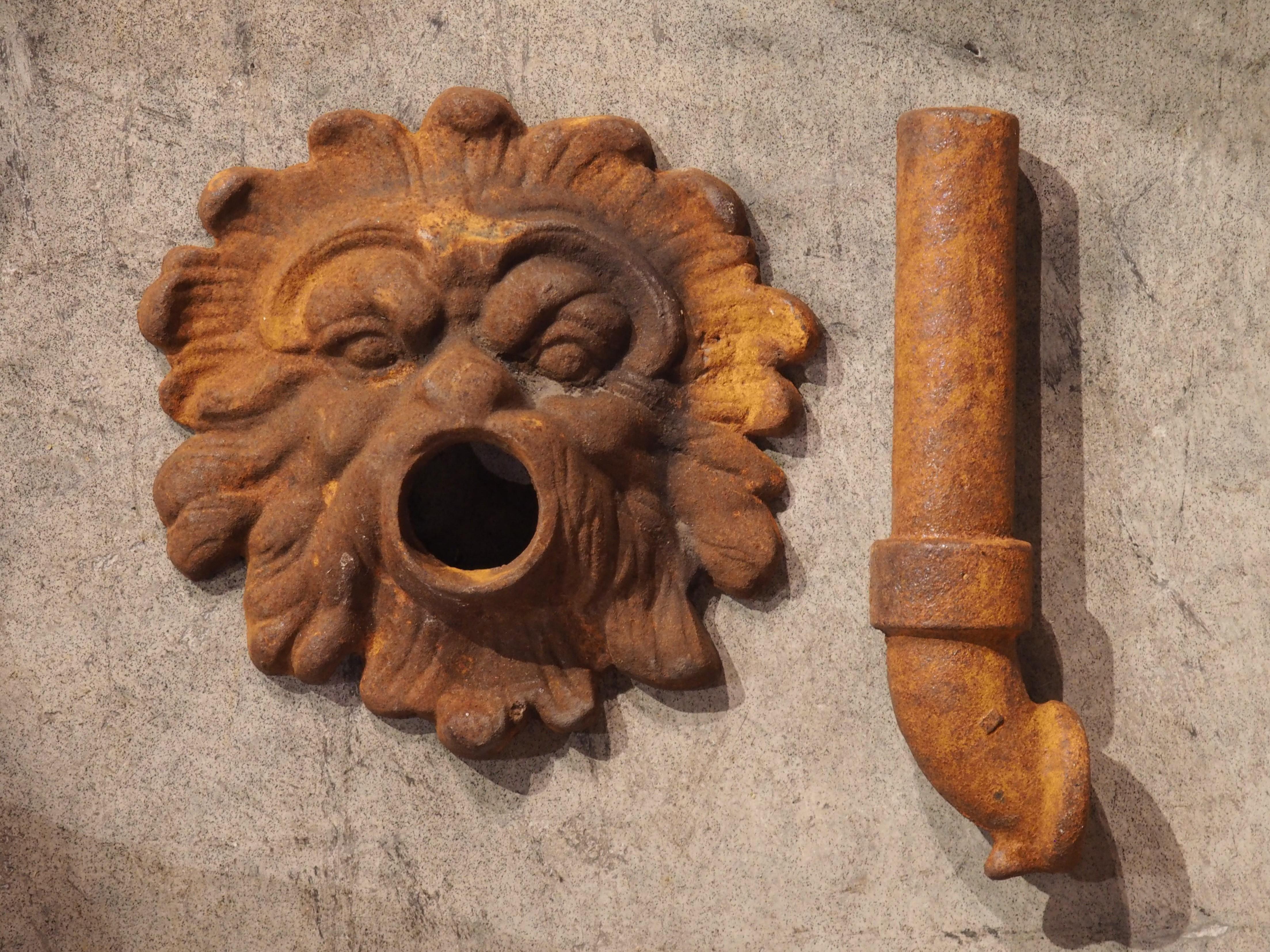 Cast Iron Fountain Spout with Mascaron Backplate, France, 20th Century In Good Condition In Dallas, TX