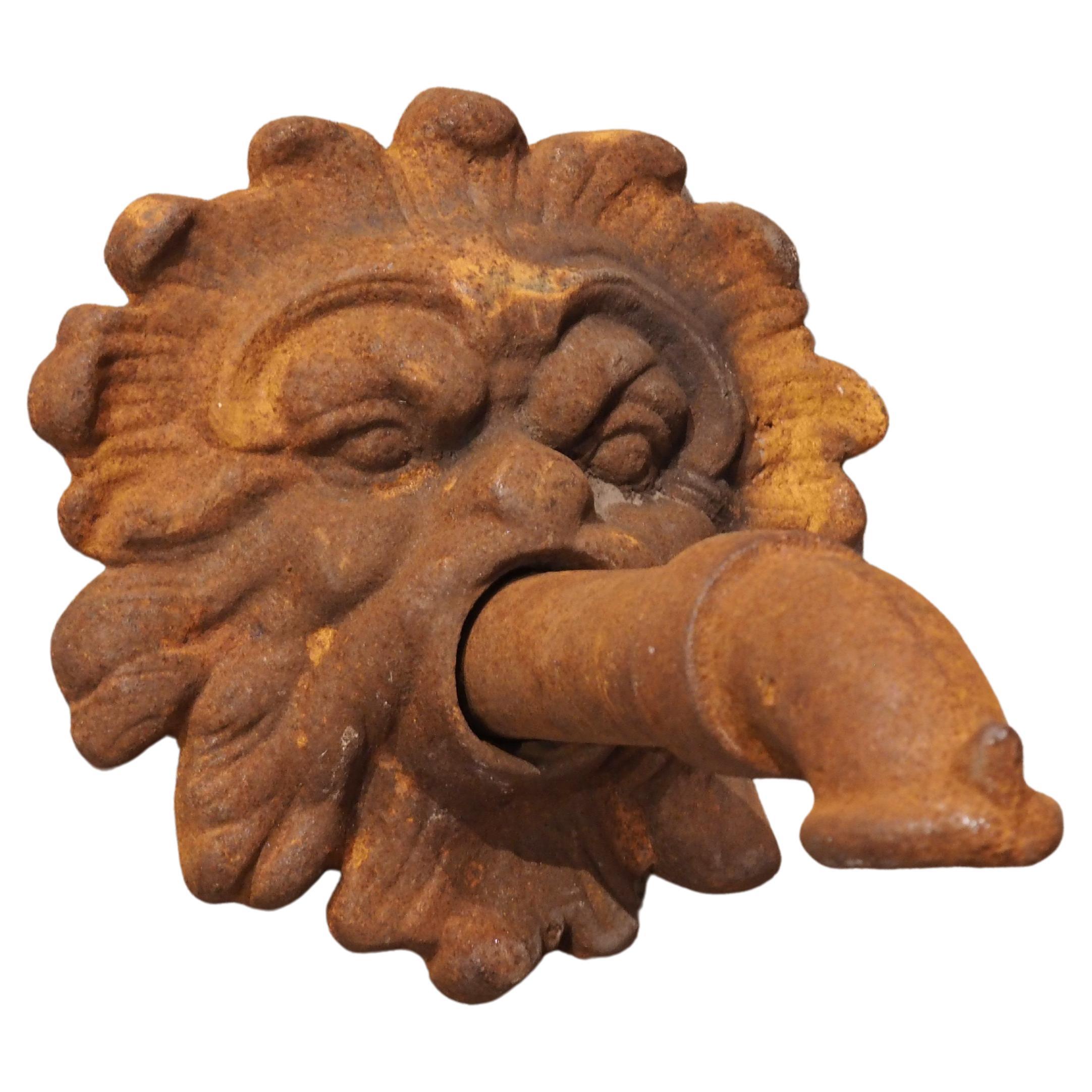 Cast Iron Fountain Spout with Mascaron Backplate, France, 20th Century