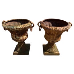 Cast Iron French Campana Urn Form Drop Ring Outdoor Garden Planter, a Pair