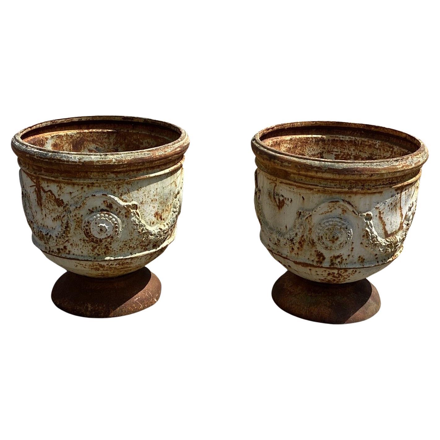 Cast Iron French Classical Round Pot Belly Outdoor Garden Planter, a Pair For Sale