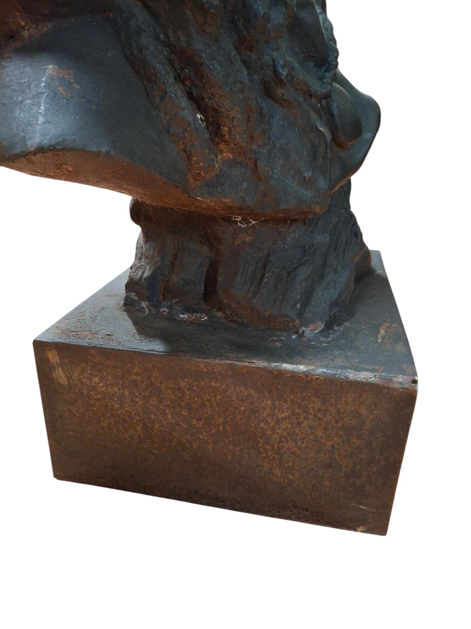 Cast Iron Native American Indian Chief Bust For Sale 6