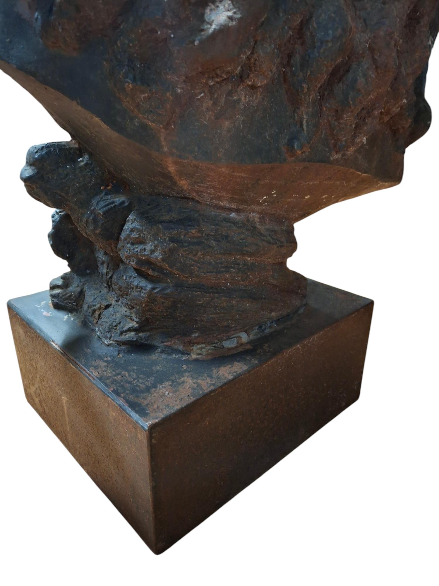 Cast Iron Native American Indian Chief Bust For Sale 7