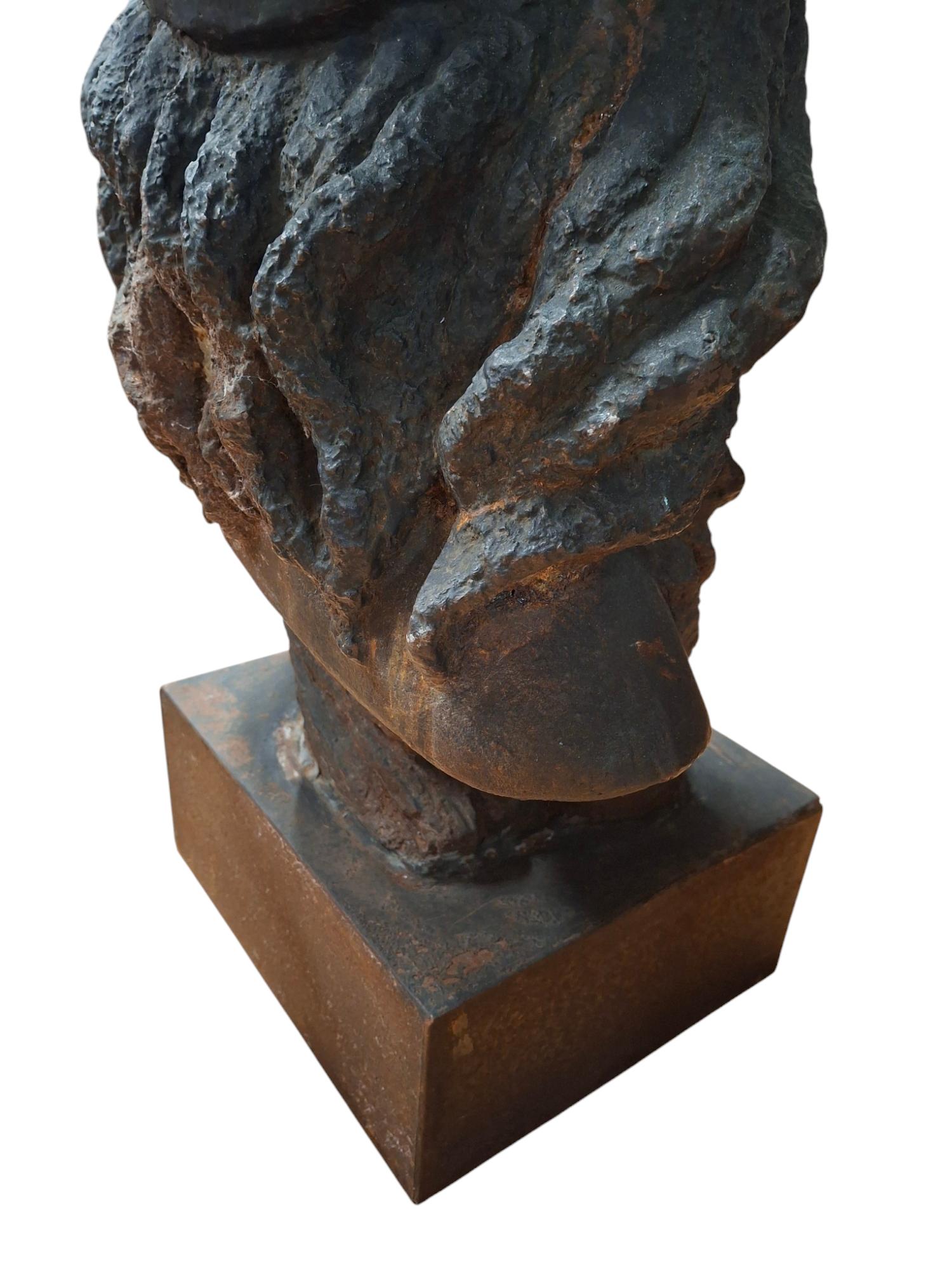 Cast Iron Native American Indian Chief Bust For Sale 2