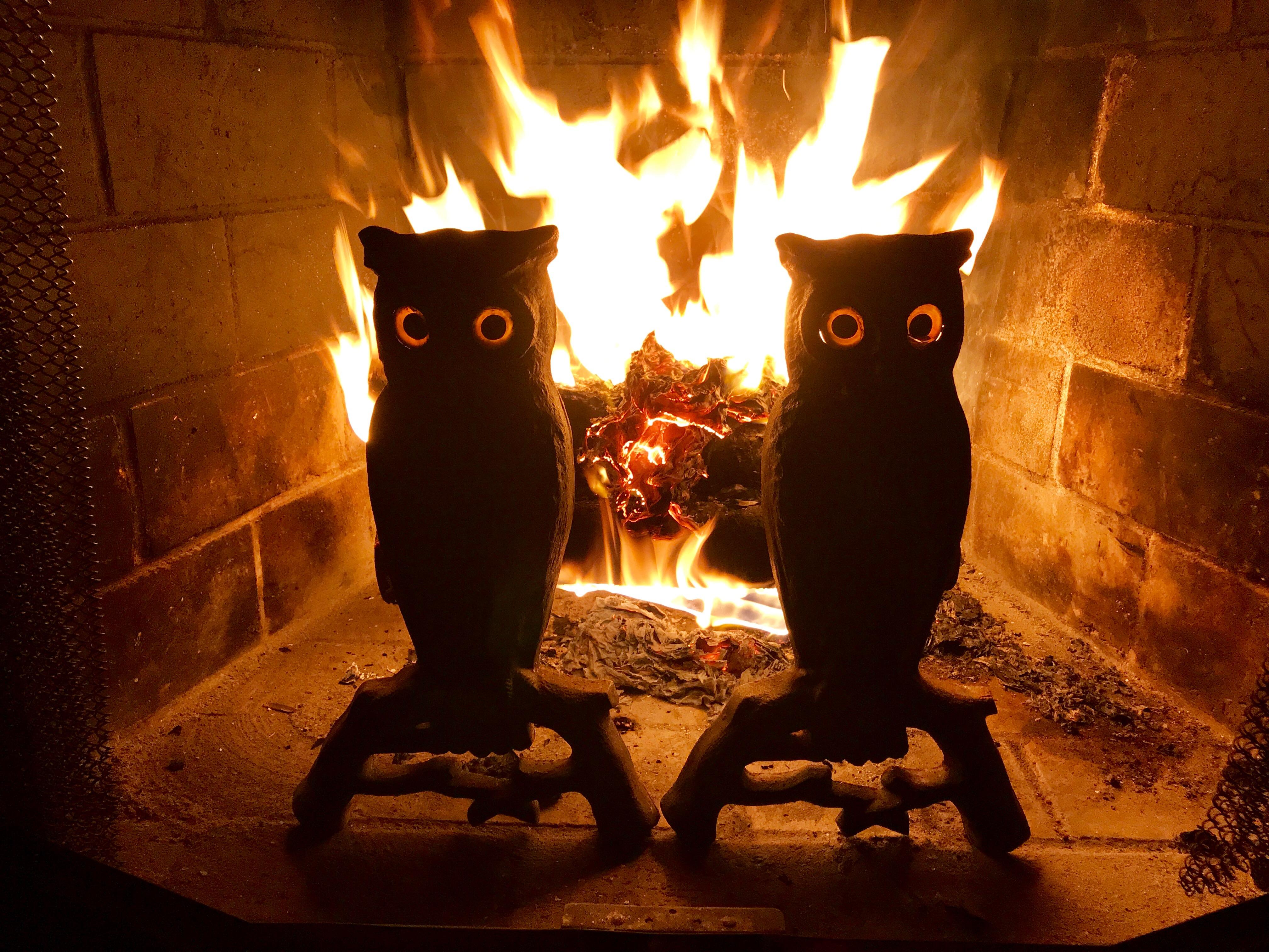 Cast Iron Owl Andirons with Glass Eyes, circa 1900 In Good Condition In Billerica, MA