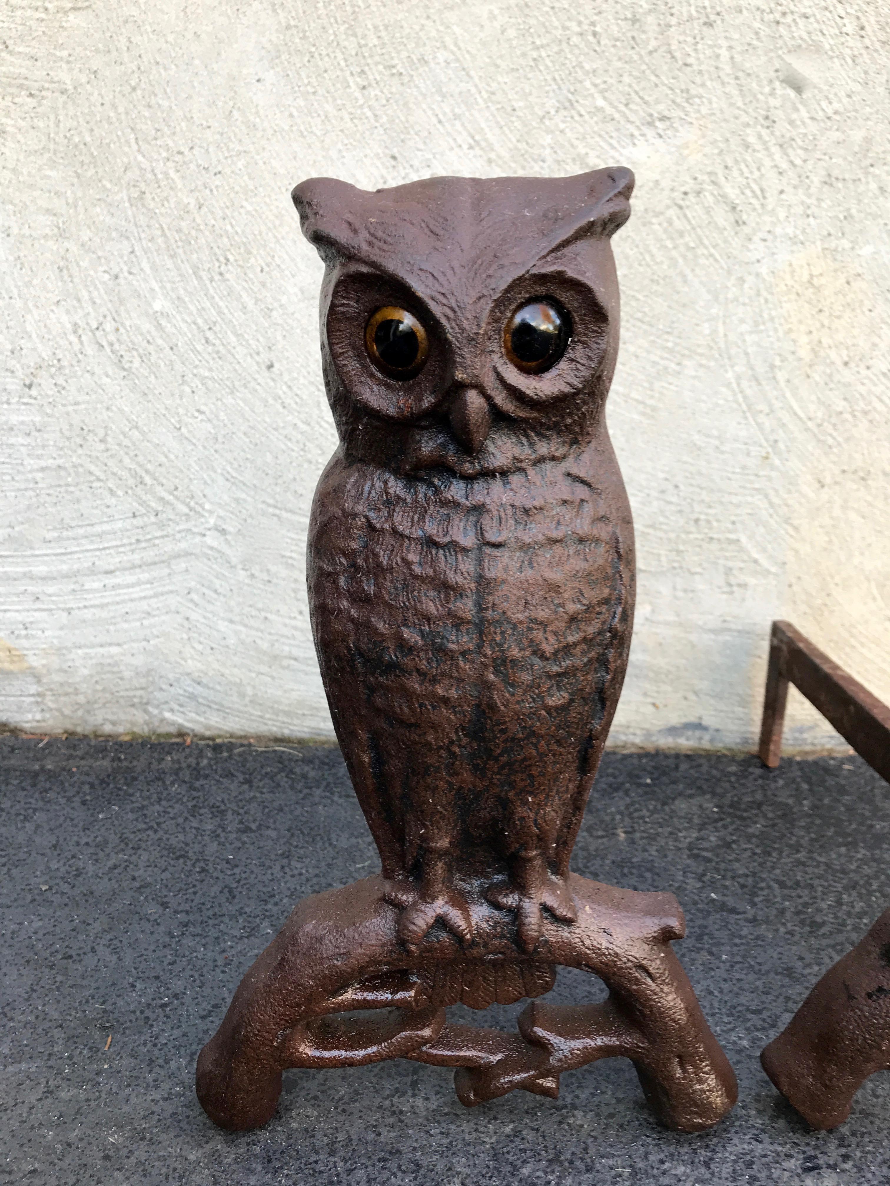 Cast iron owl andirons with glass eyes, late 19th century. Westport, Ma. No chips or cracks in metal or eyes. The glass eyes are brown with large black pupils. Original with excellent patina. Measures: 16