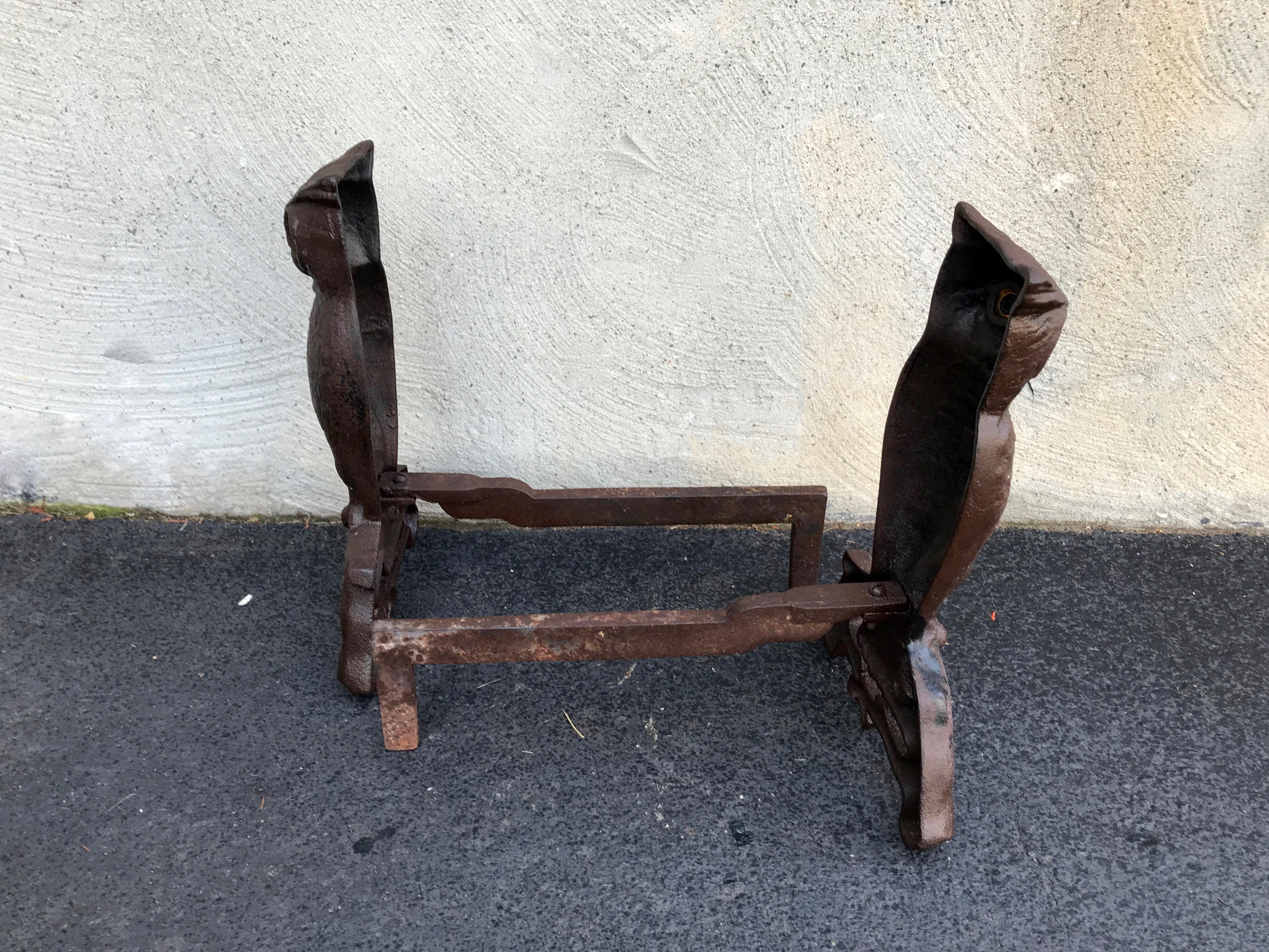 Cast Iron Owl Andirons with Glass Eyes, Late 19th Century Westport, Ma 1