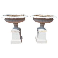 Cast Iron Pair of Garden Urns