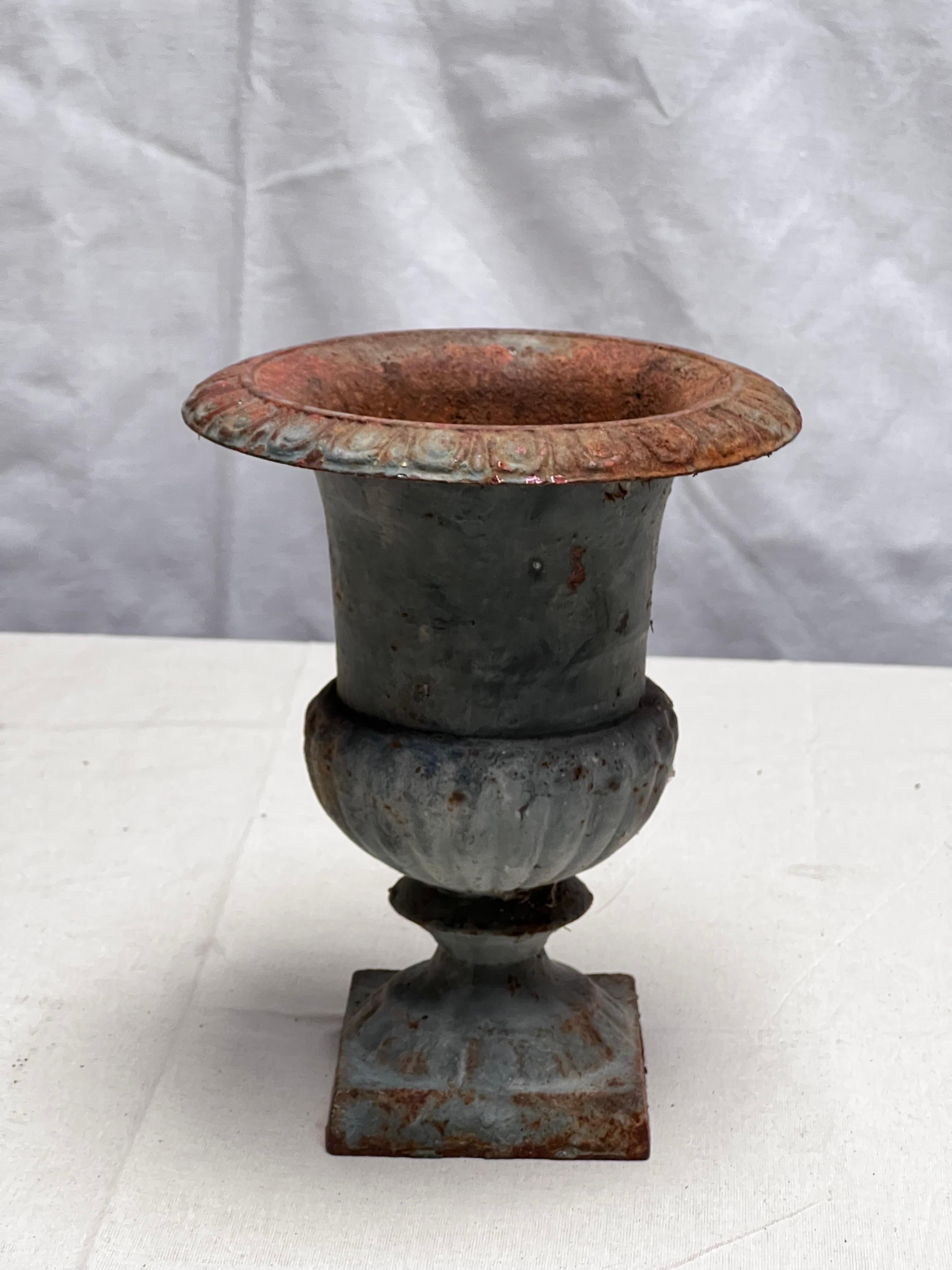 This is a very well preserved and patinated cast iron planter. Showing some patina from a past life in a garden. Could be used inside or outside in any rooms even in the bathroom. Very warm