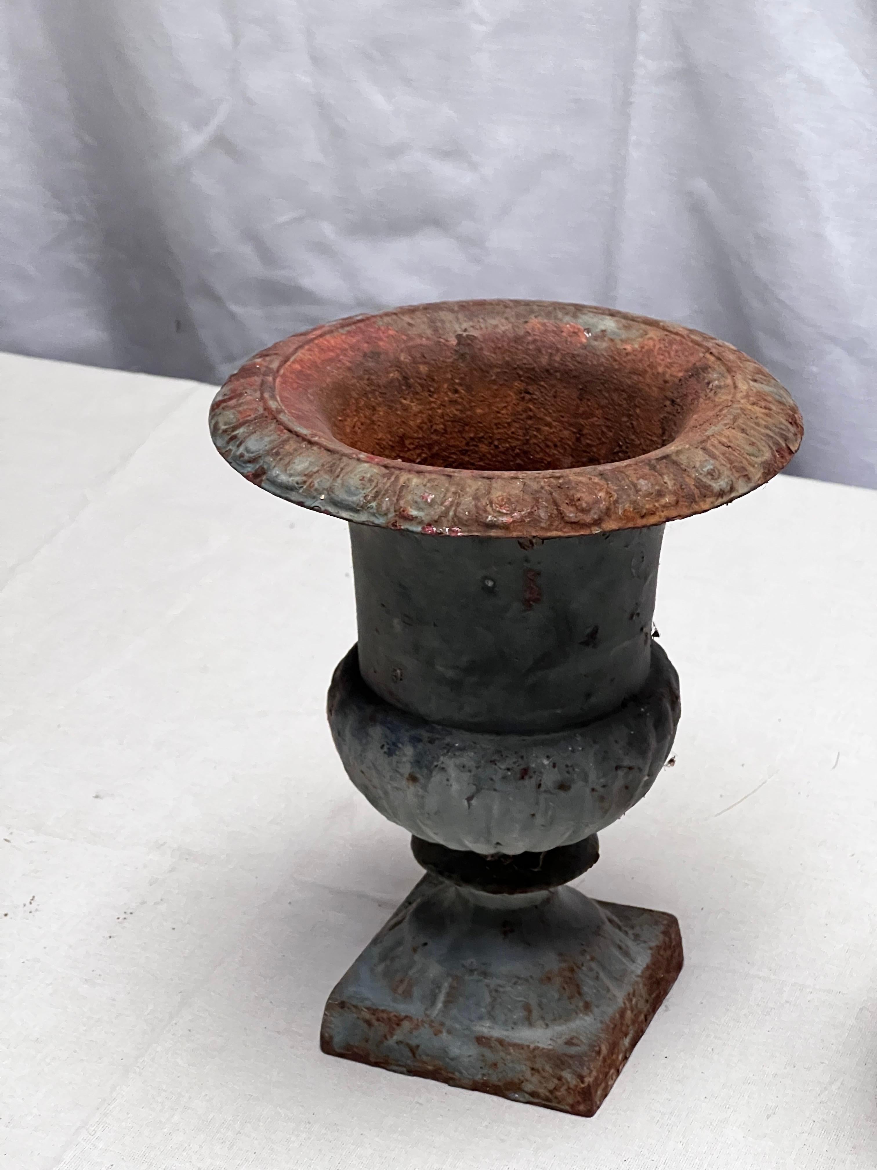 English Cast Iron Planter, England 20th century Lots of patina H 22.5 cm For Sale