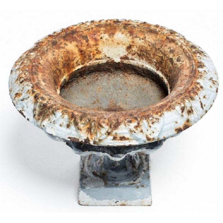English Antique French Cast Iron Urn Planter