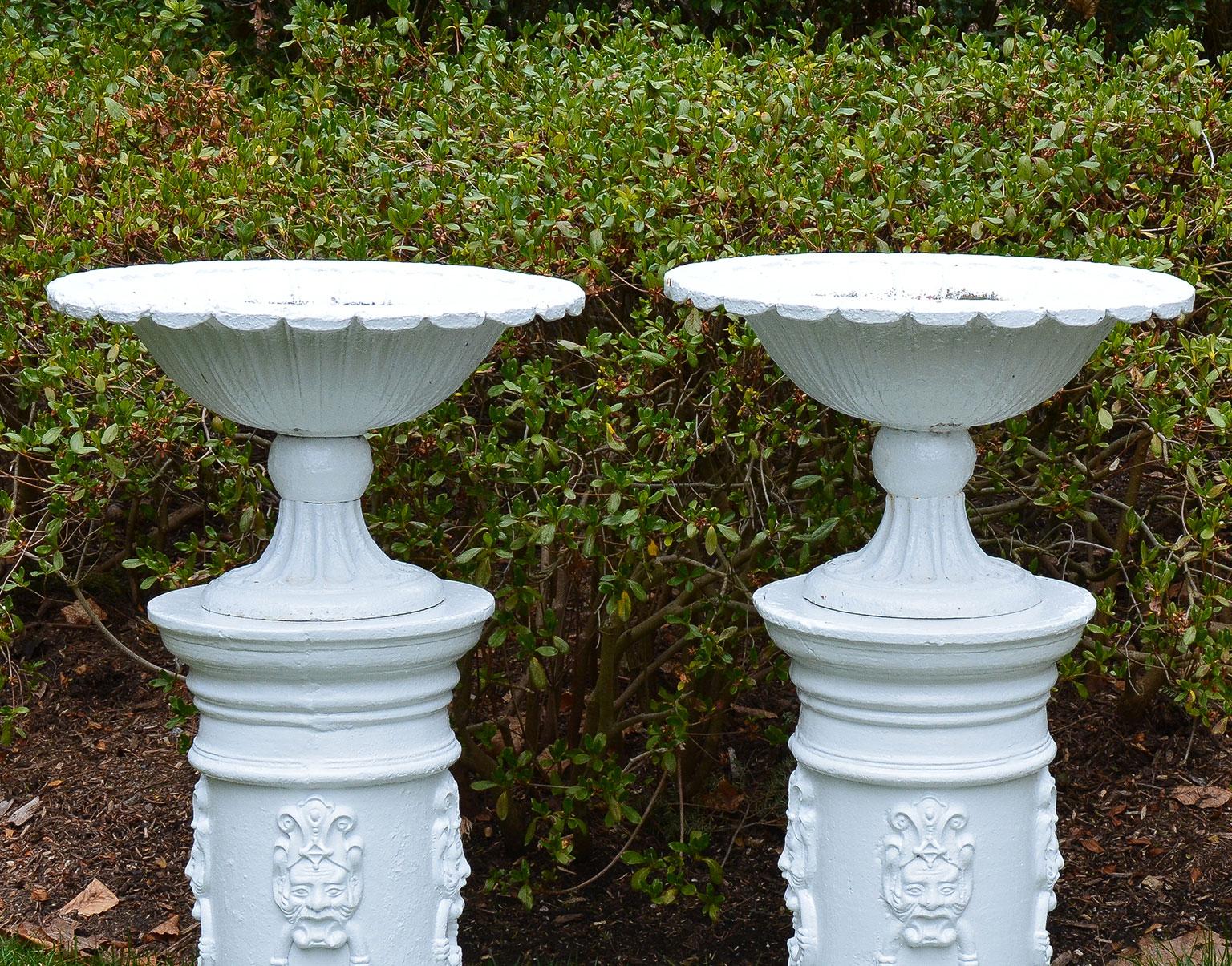 English White Painted Cast-Iron Urns on White Pedestals