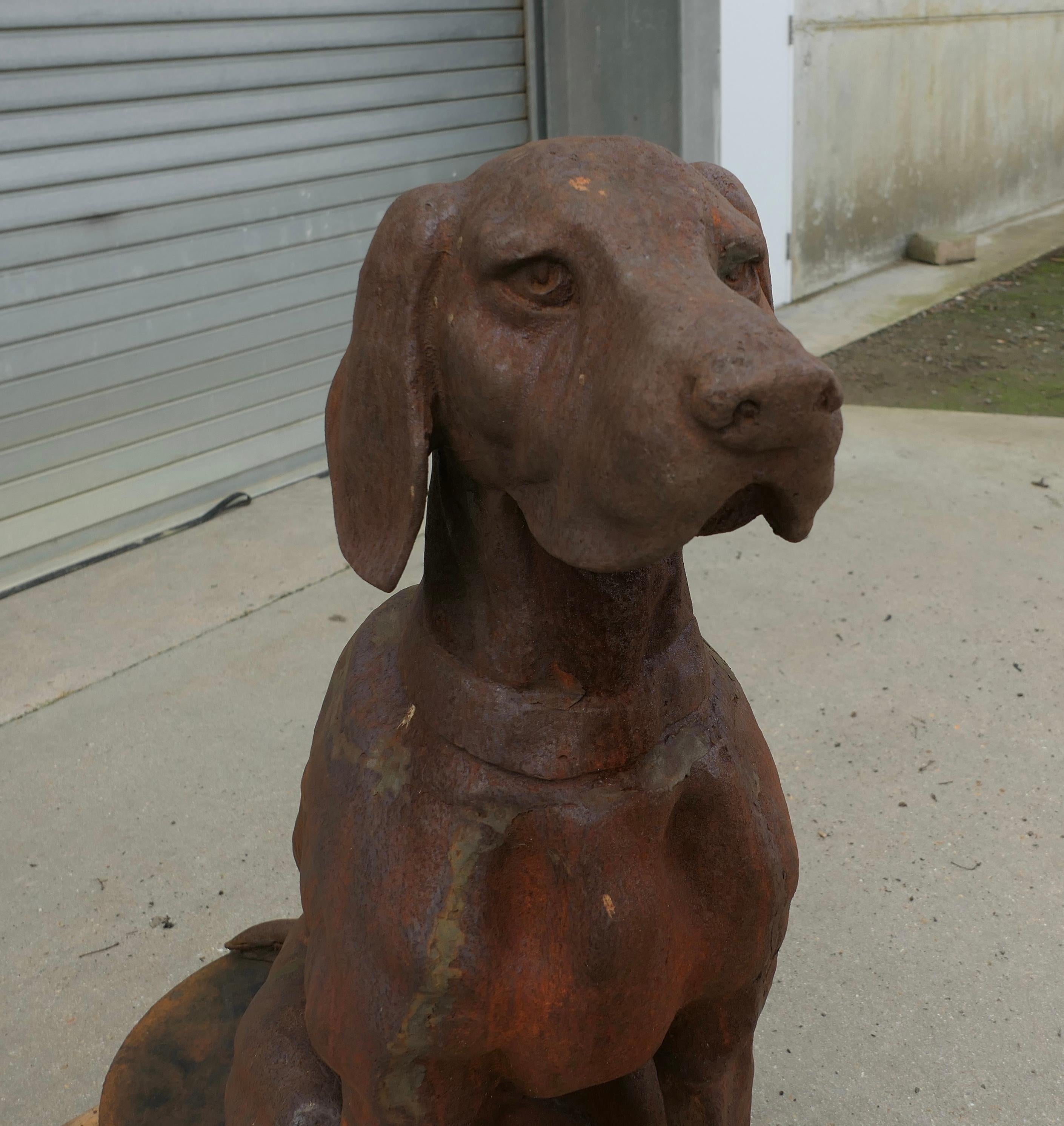 Mid-20th Century Cast Iron Statue of a Hunting Dog Retrieving a Pheasant   A very proud Chap For Sale