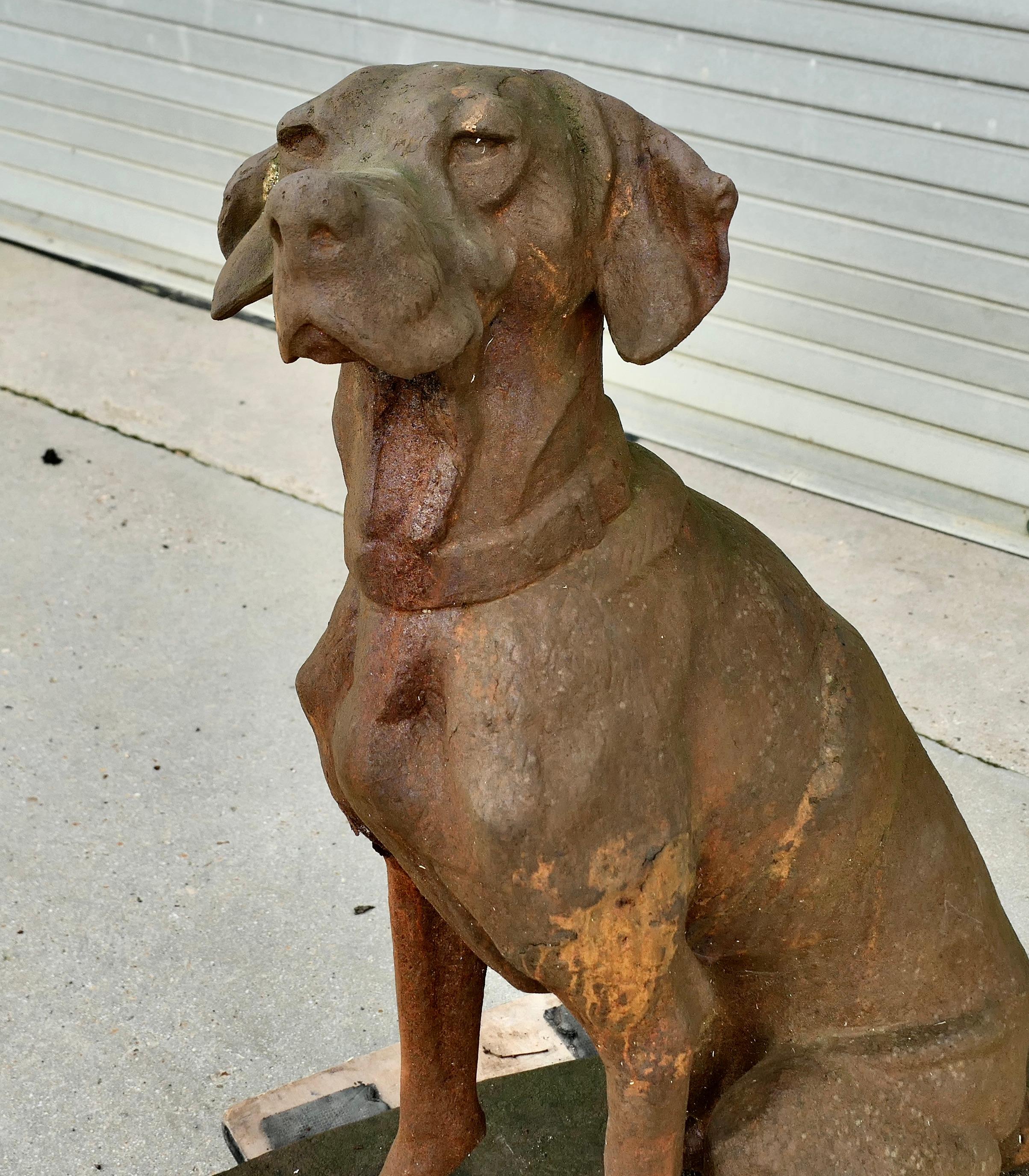 Statua in ghisa di un cane da caccia con un fagiano 

Un Chap molto contento, seduto su un profondo basamento ovale, è completamente tridimensionale e si vede bene da tutti i lati.
Il nostro fedele segugio è seduto in attesa dell'attenzione del suo