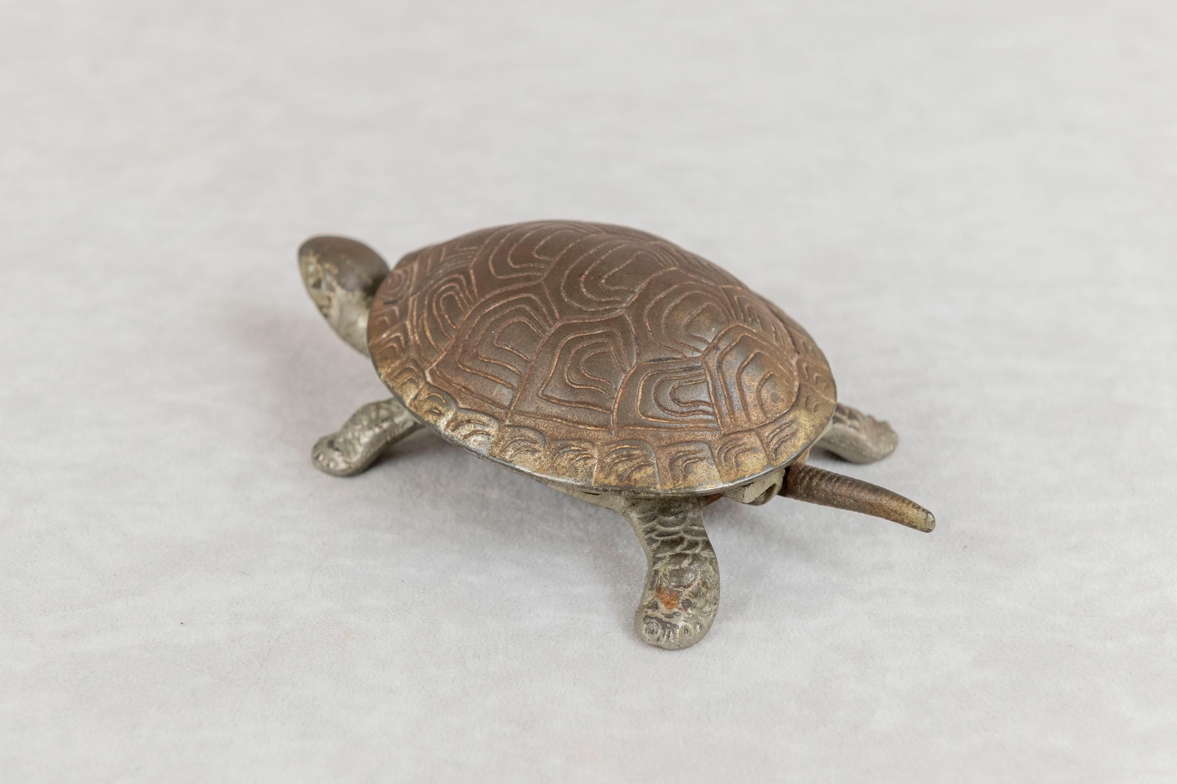 bell turtle