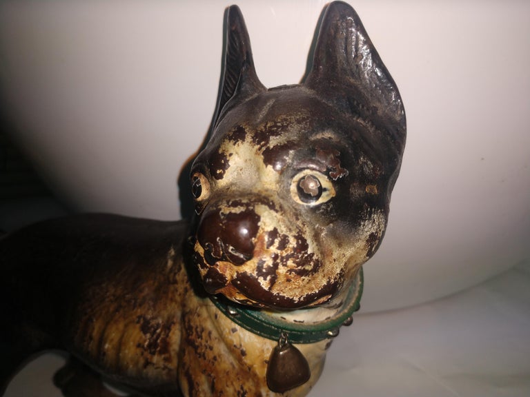 Cast Iron Vintage Door Stop Bulldog Terrier with Collar For Sale 1