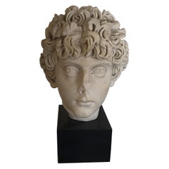 Cast Marble Roman Sculpture