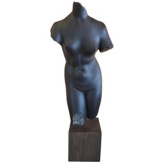 Cast Resin Aphrodite Anadyomene Sculpture on Base from the MOMA Collection