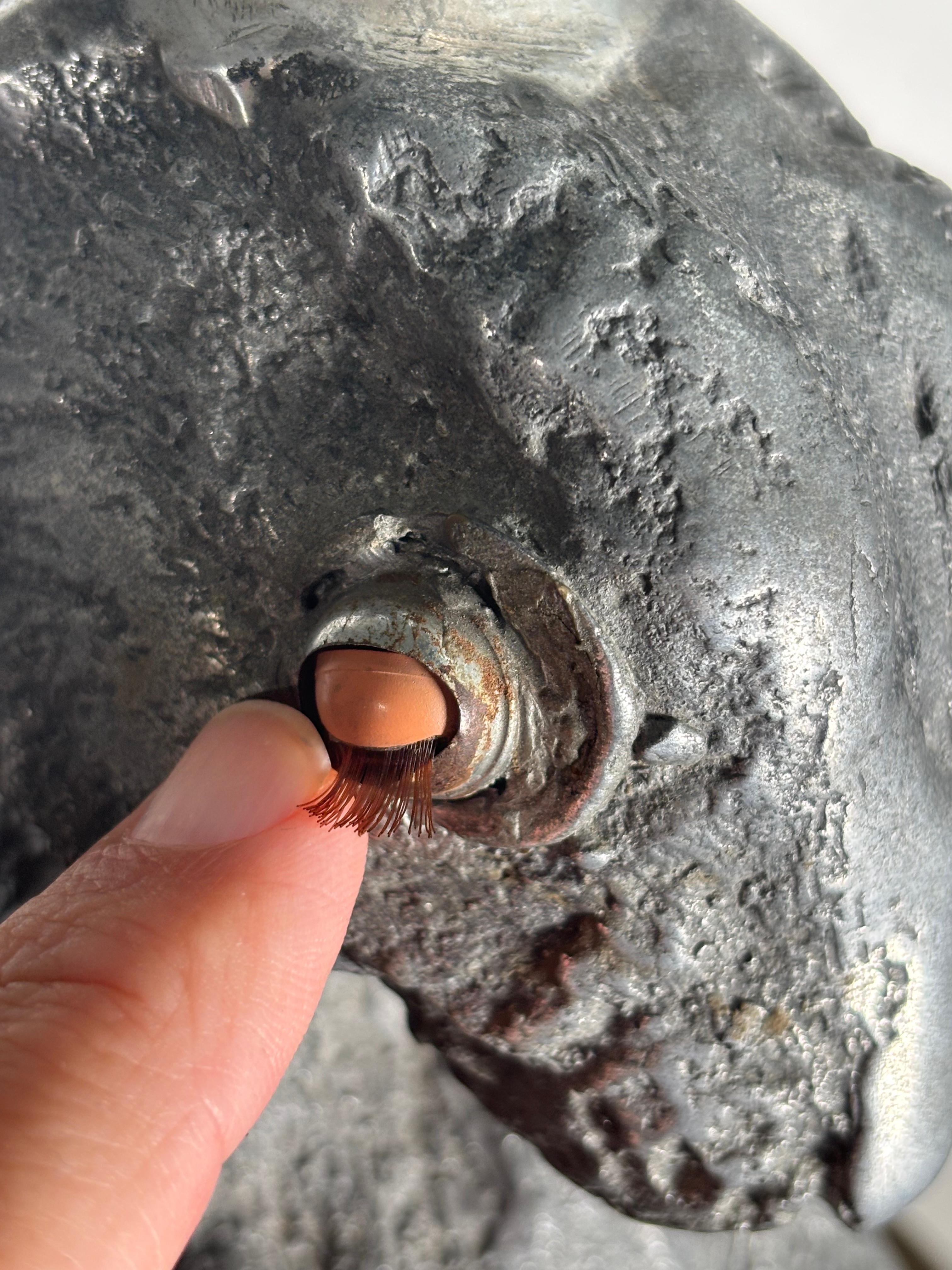 Gegossene Skulptur aus Bronze und Aluminium von Valeriano Trubbiani, Italien im Angebot 1