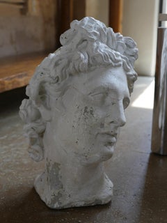 Mid-Century Cast Stone Bust of Apollo Belvedere